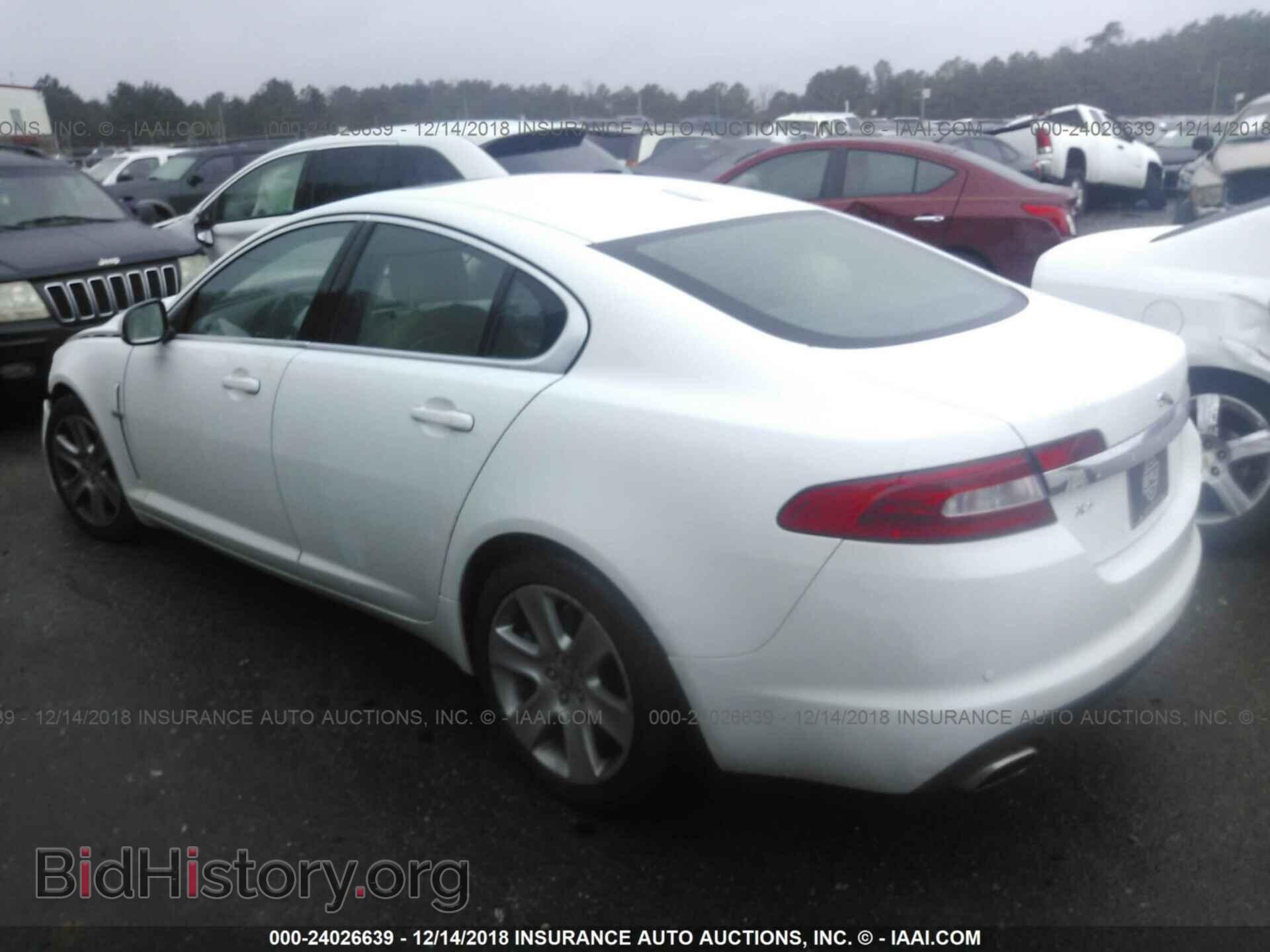 2011 JAGUAR XF - VIN: sajwa0fb0bls12562 - Фото 3