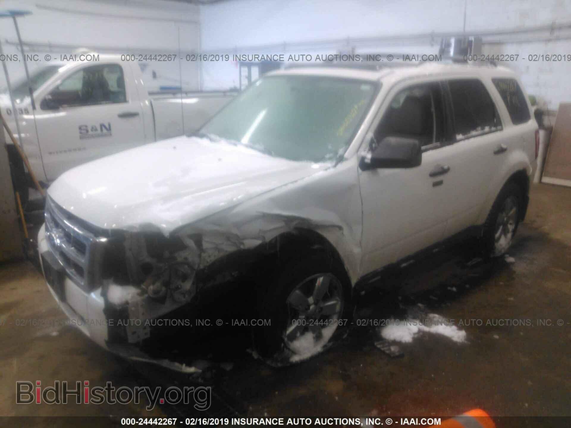 2011 FORD ESCAPE - VIN: 1FMCU0DG7BKA08060 - Фото 2