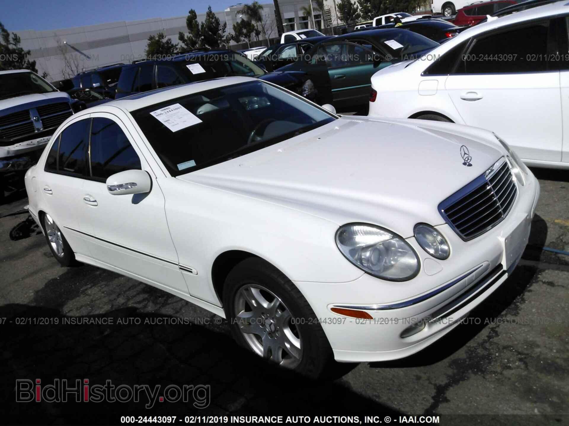 Photo WDBUF65J13A217395 - MERCEDES-BENZ E 2003