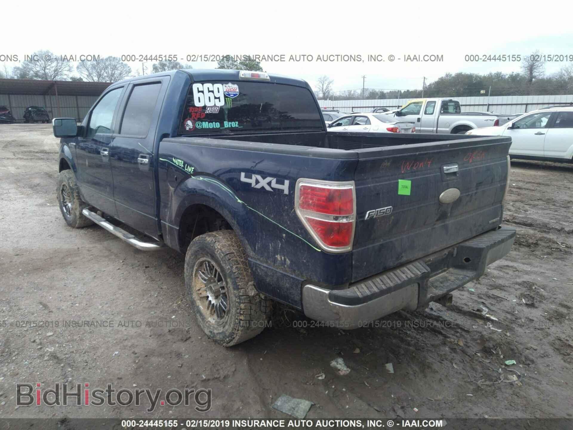 2011 FORD F150 - VIN: 1FTFW1EF9BKD62797 - Фото 3