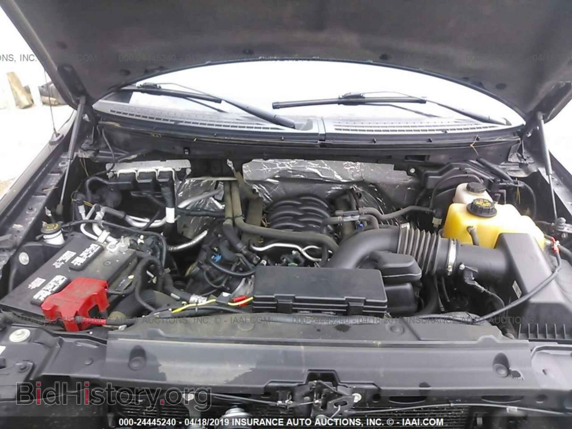 2013 FORD F150 - VIN: 1FTFX1EF7DFC80737 - Фото 10
