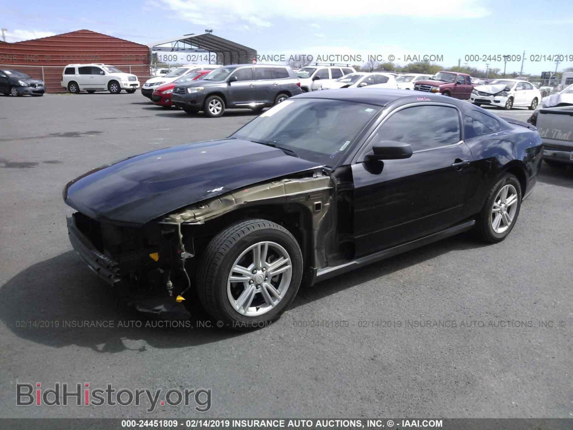 2011 FORD MUSTANG - VIN: 1ZVBP8AM7B5105562 - Фото 2
