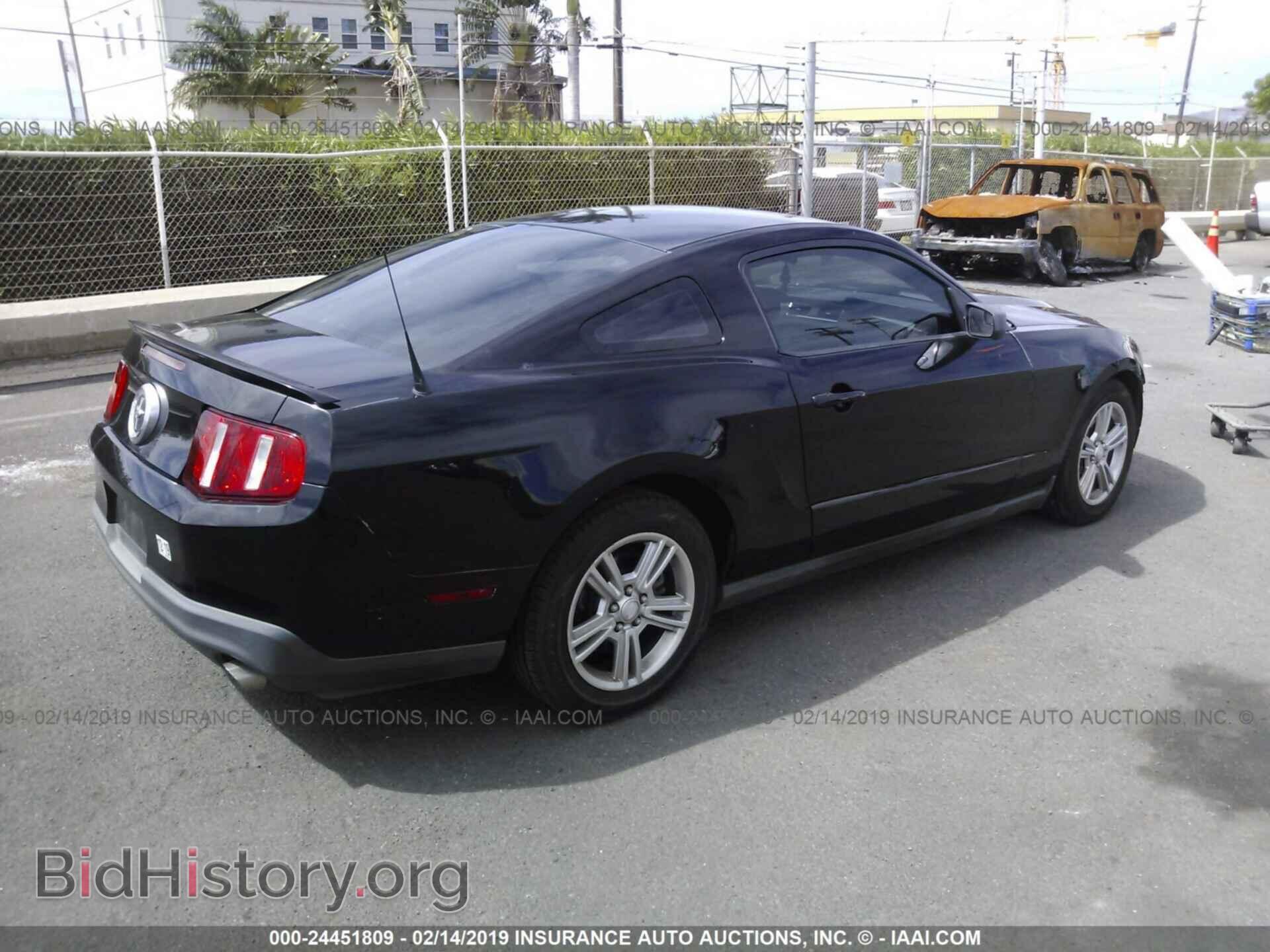 2011 FORD MUSTANG - VIN: 1ZVBP8AM7B5105562 - Фото 4