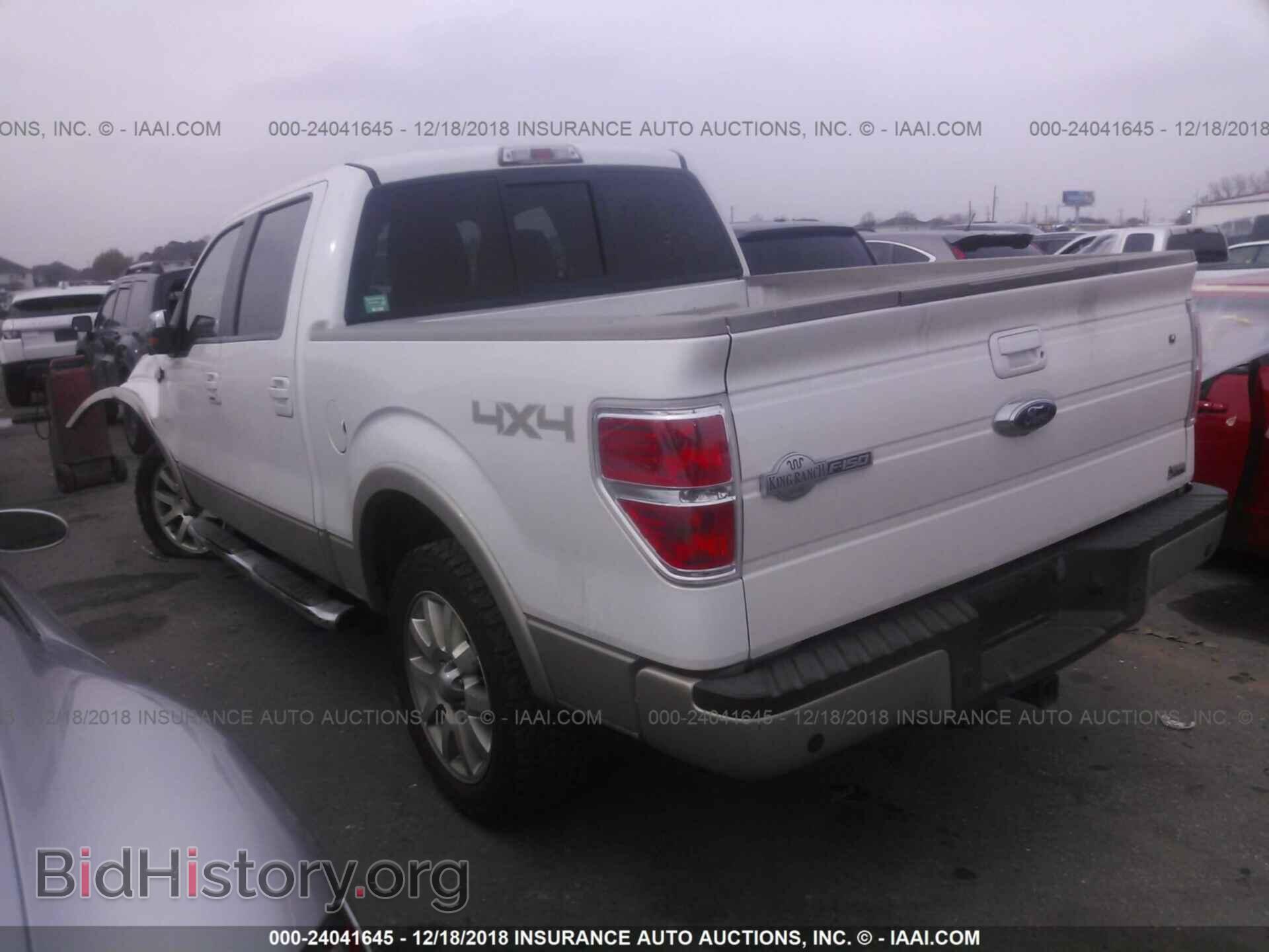 2010 FORD F150 - VIN: 1FTFW1EV3AKE07447 - Фото 3