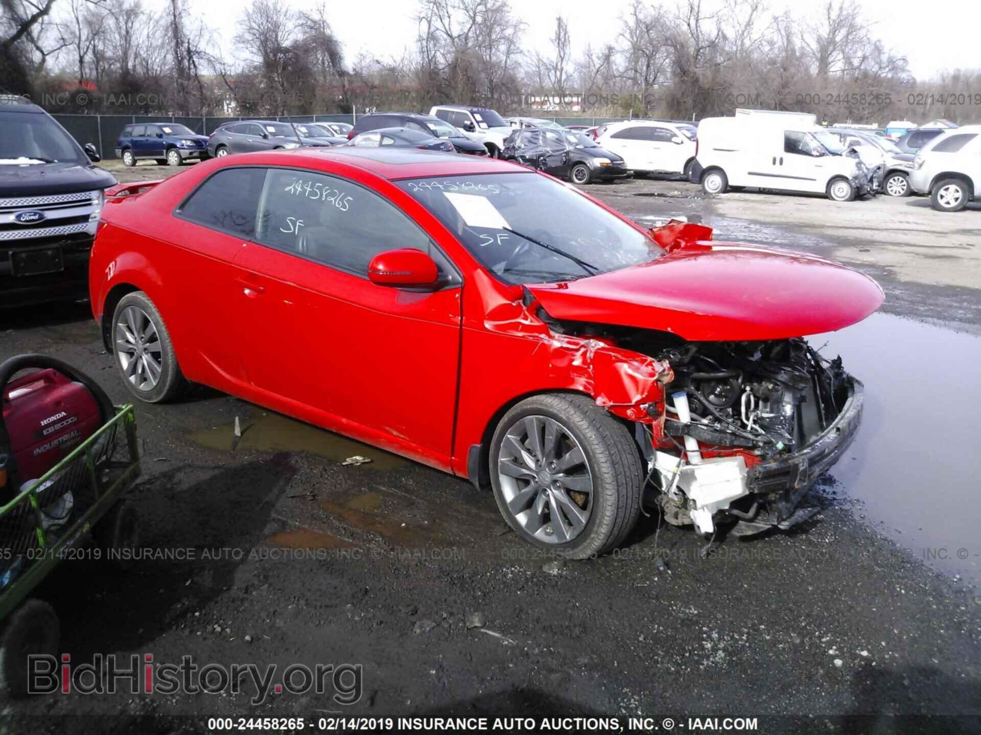 Photo KNAFW6A32D5745925 - KIA FORTE 2013