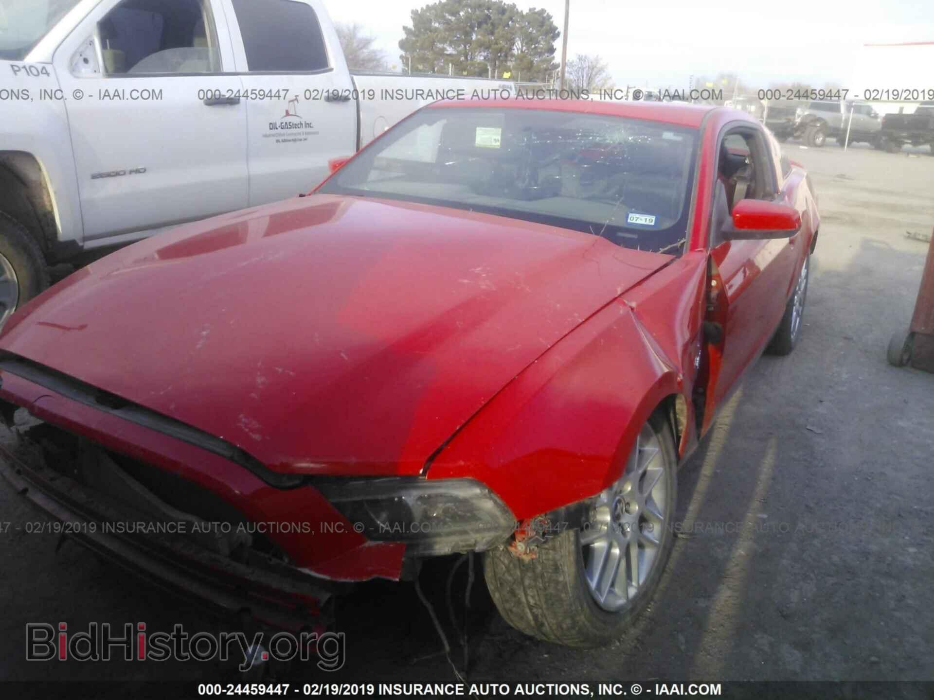 2013 FORD MUSTANG - VIN: 1ZVBP8AM0D5282070 - Фото 2