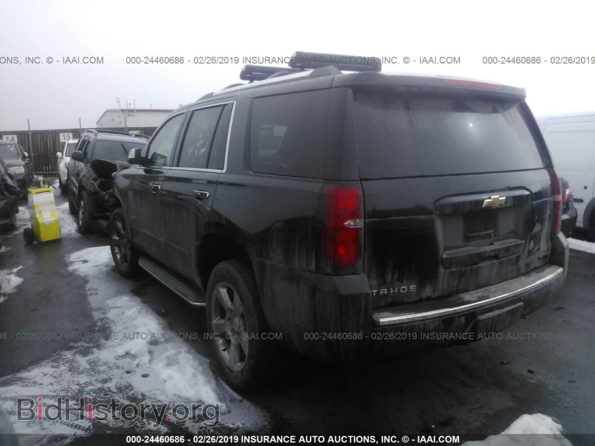 2011 FORD F150 - VIN: 1FTFW1EF8BFB90612 - Фото 3