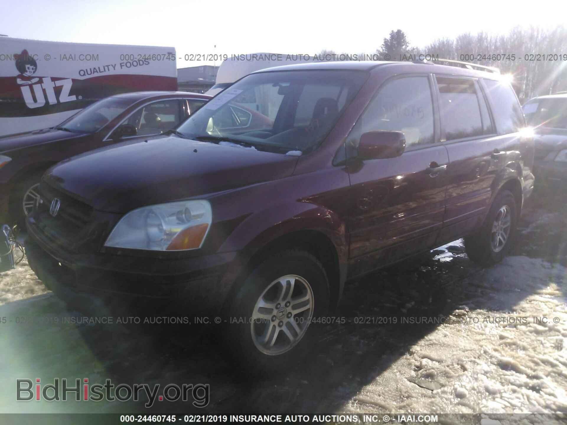 2005 HONDA PILOT - VIN: 5FNYF18495B049169 - Фото 2