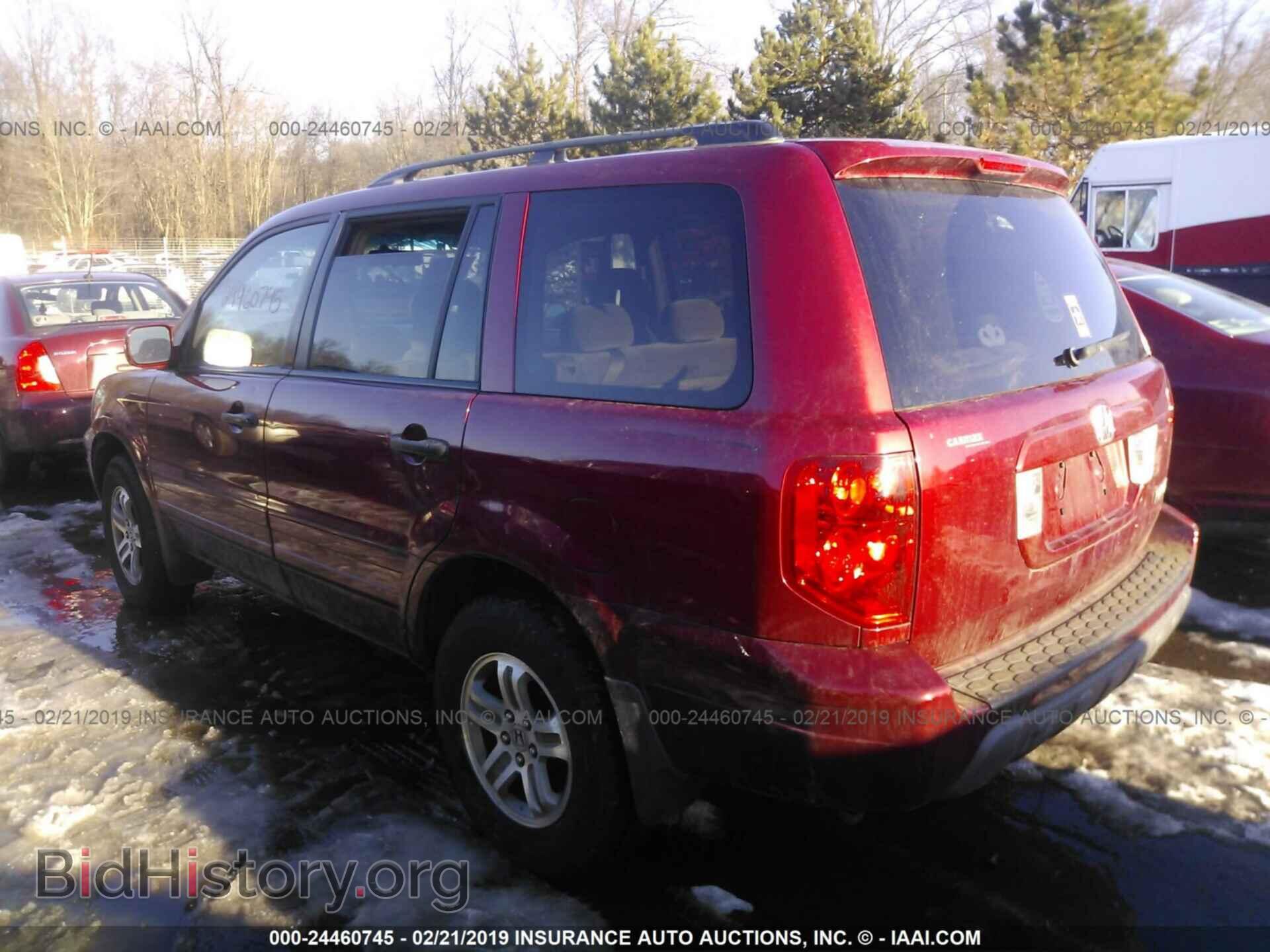 2005 HONDA PILOT - VIN: 5FNYF18495B049169 - Фото 3
