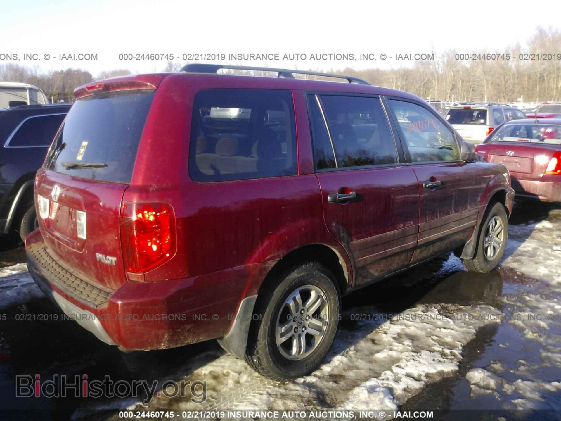 2005 HONDA PILOT - VIN: 5FNYF18495B049169 - Фото 4