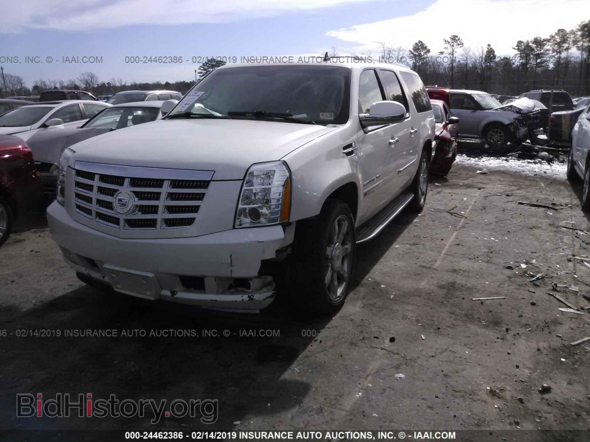 2011 CADILLAC ESCALADE - VIN: 1GYS4HEF2BR368746 - Фото 2
