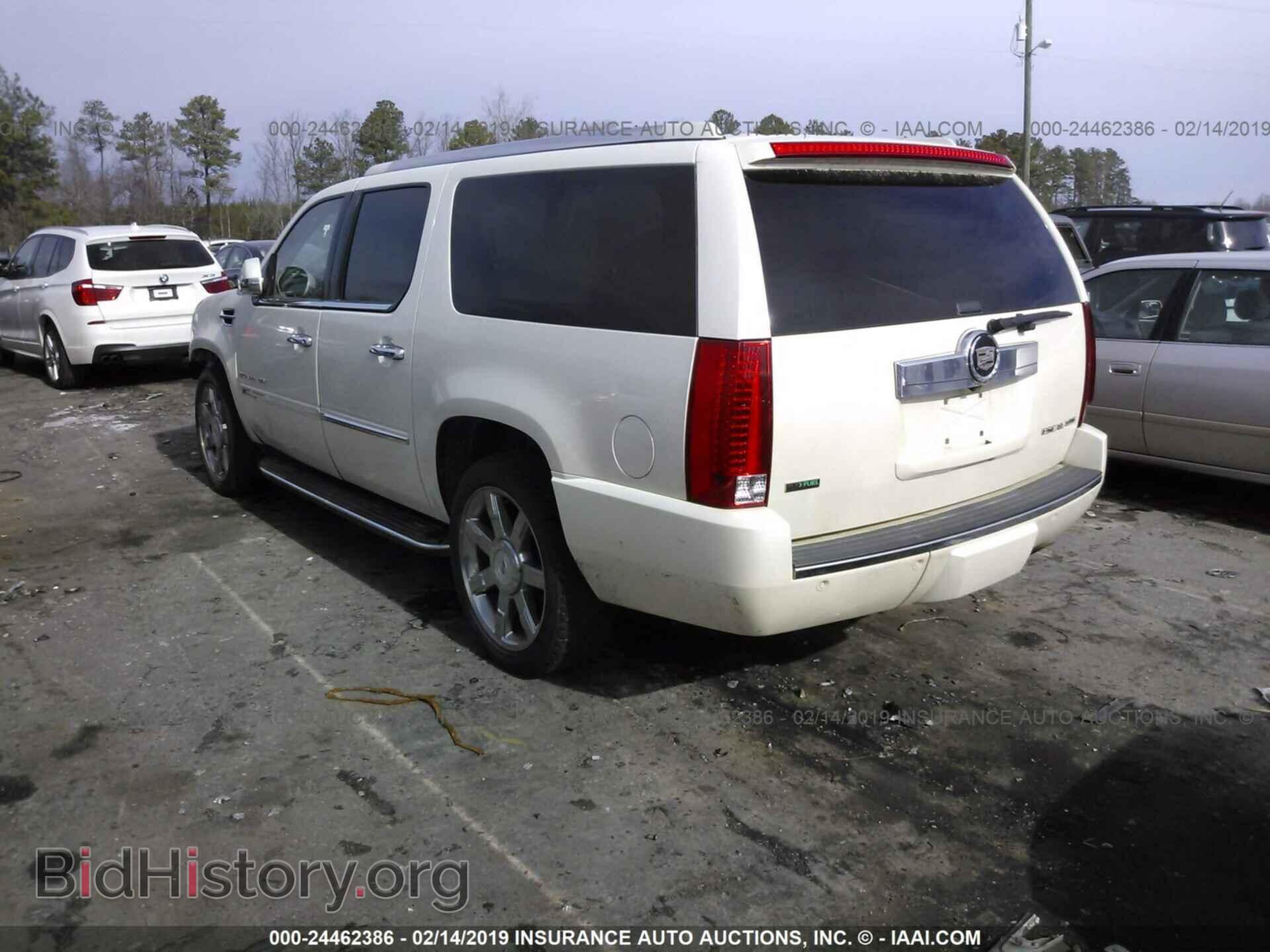 2011 CADILLAC ESCALADE - VIN: 1GYS4HEF2BR368746 - Фото 3