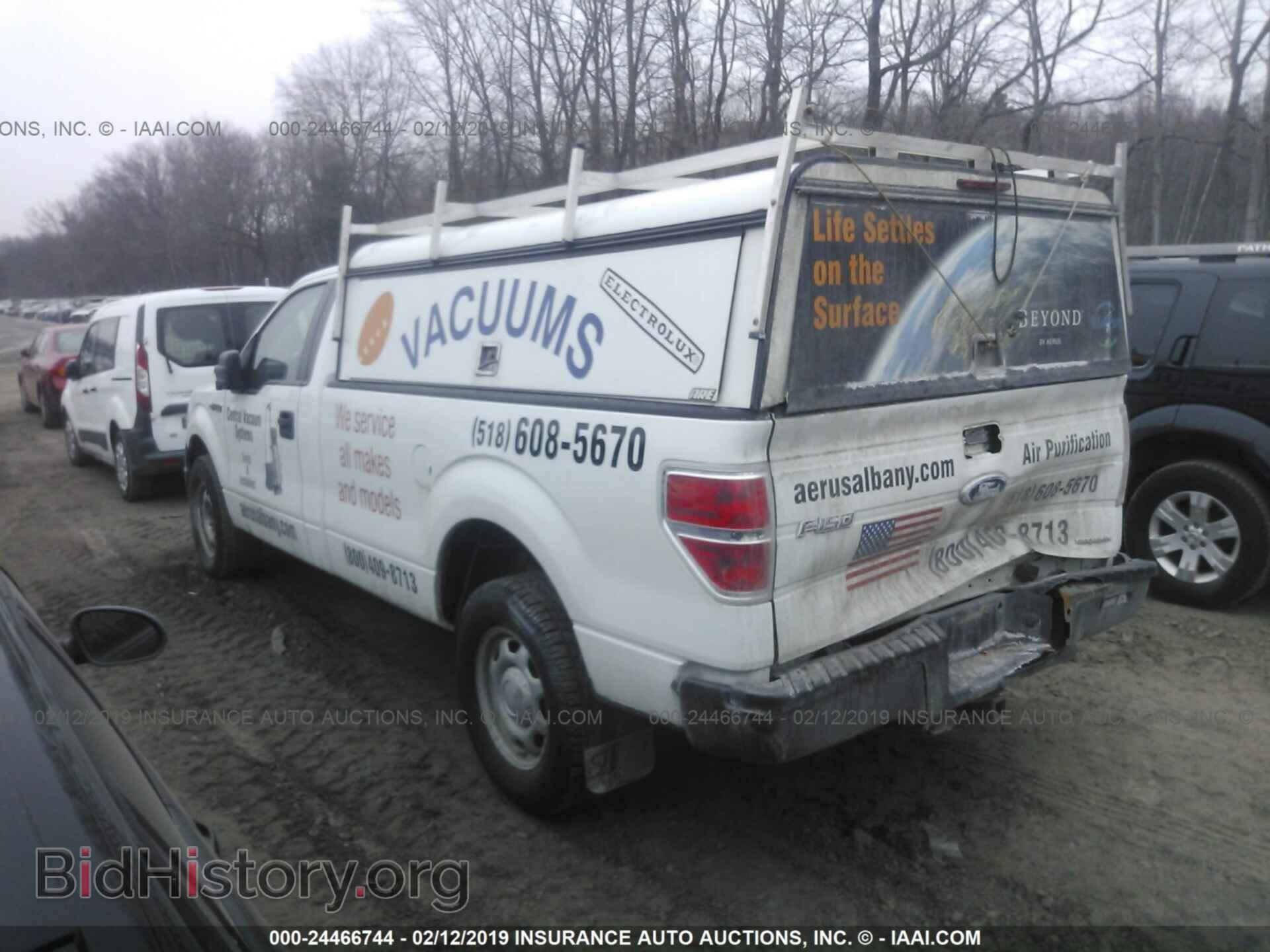 2013 FORD F150 - VIN: 1FTMF1CM3DKD67487 - Фото 3