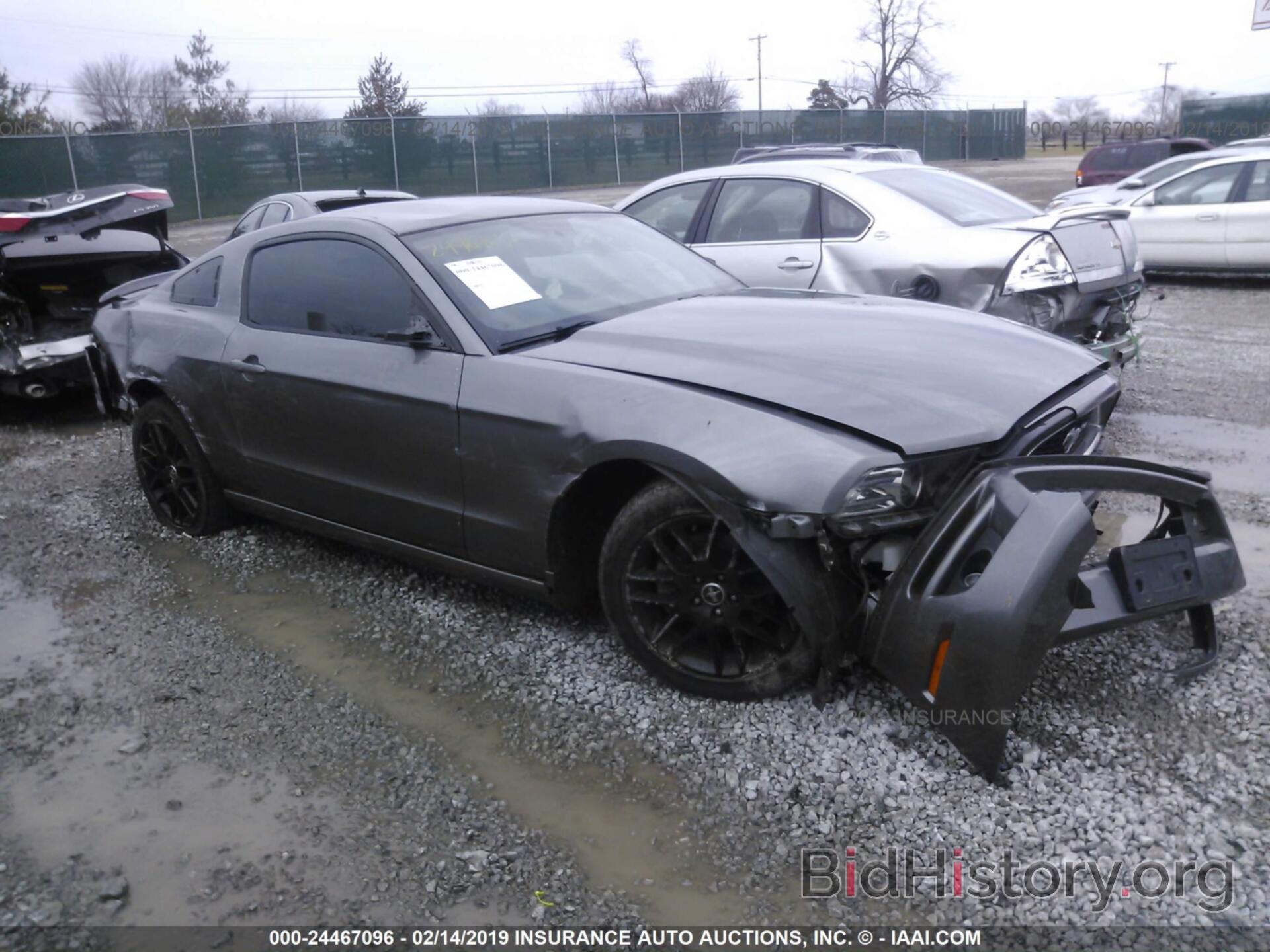 Photo 1ZVBP8AM1E5327292 - FORD MUSTANG 2014