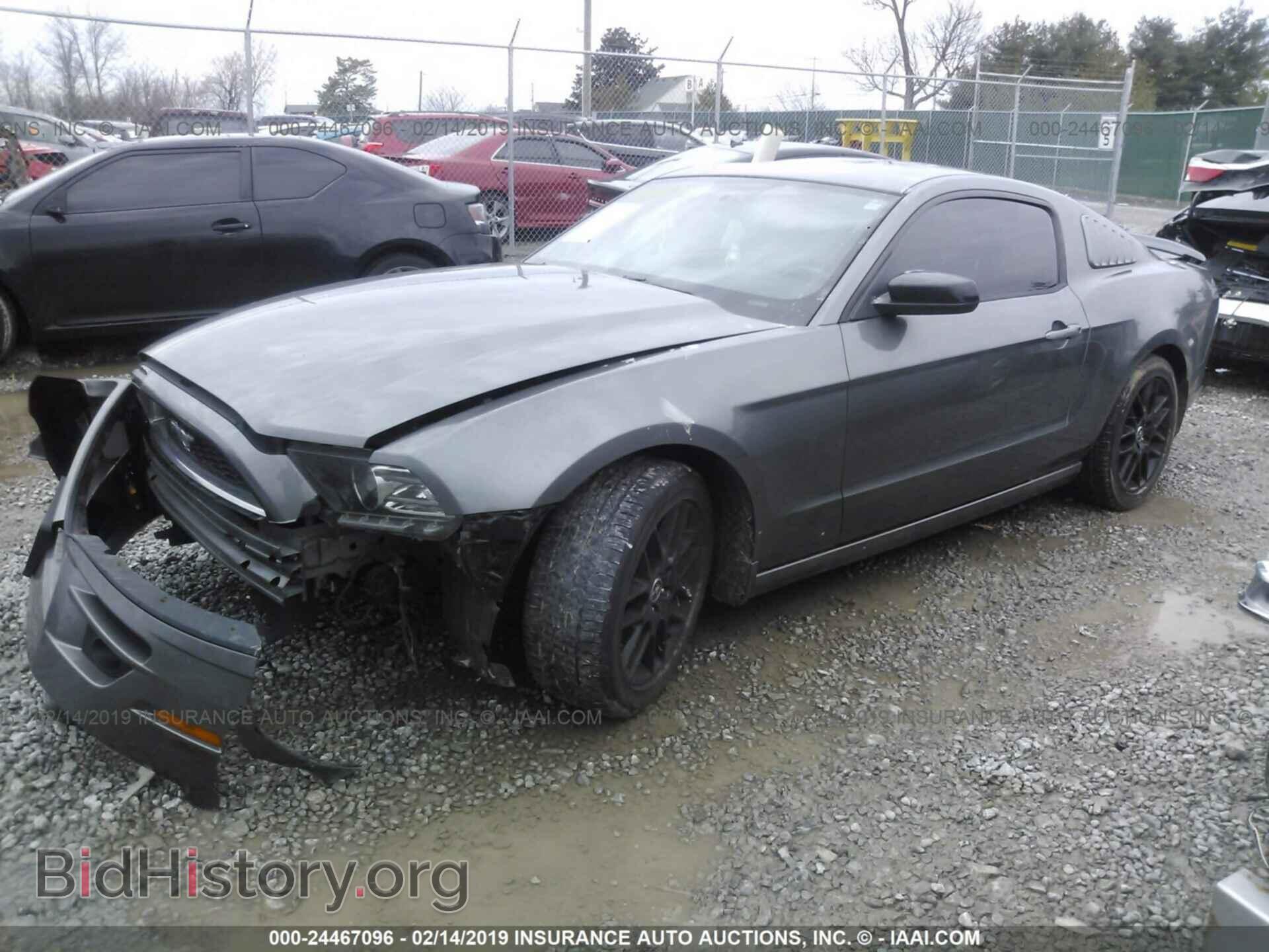 2014 FORD MUSTANG - VIN: 1ZVBP8AM1E5327292 - Фото 2