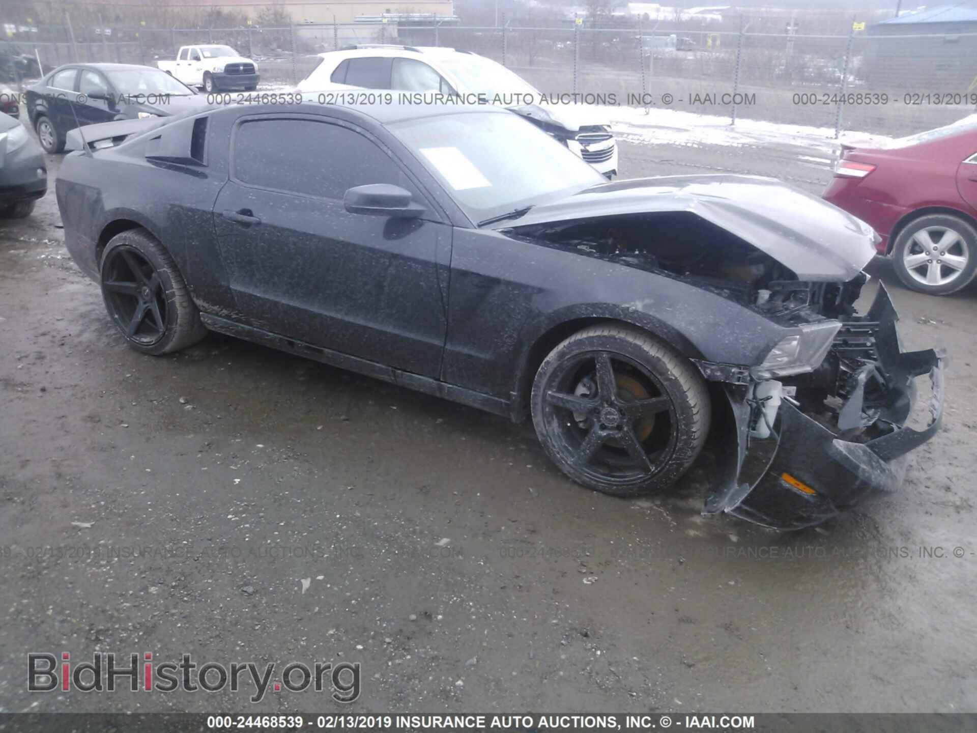 Фотография 1ZVBP8AM8E5203455 - FORD MUSTANG 2014