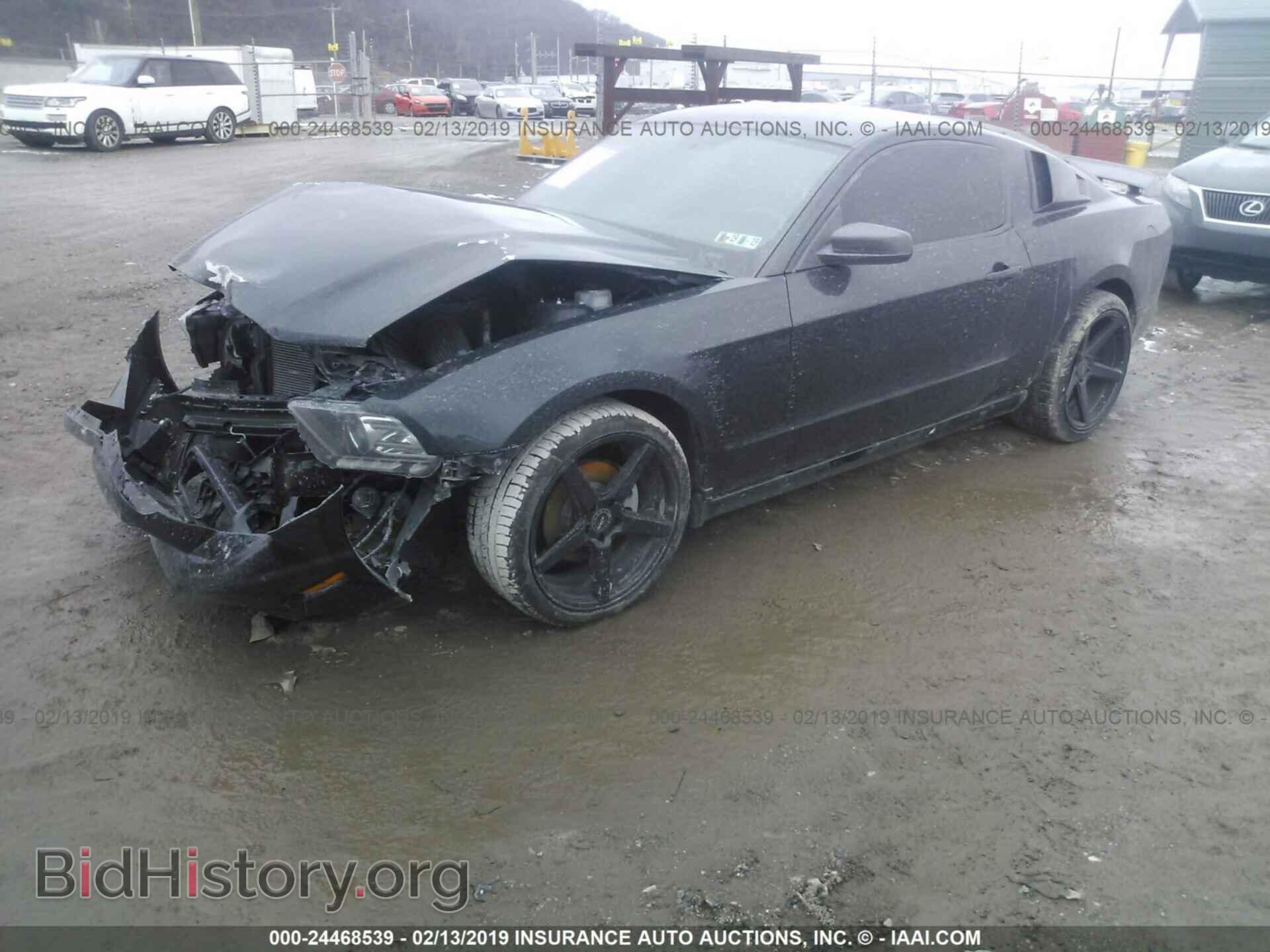2014 FORD MUSTANG - VIN: 1ZVBP8AM8E5203455 - Фото 2
