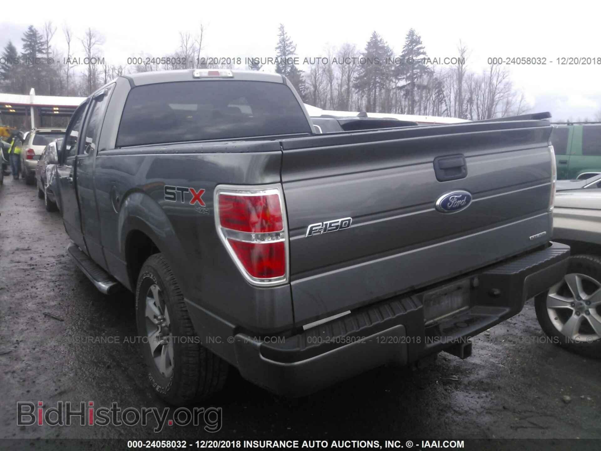 2013 FORD F150 - VIN: 1FTFX1EF9DFD34409 - Фото 3