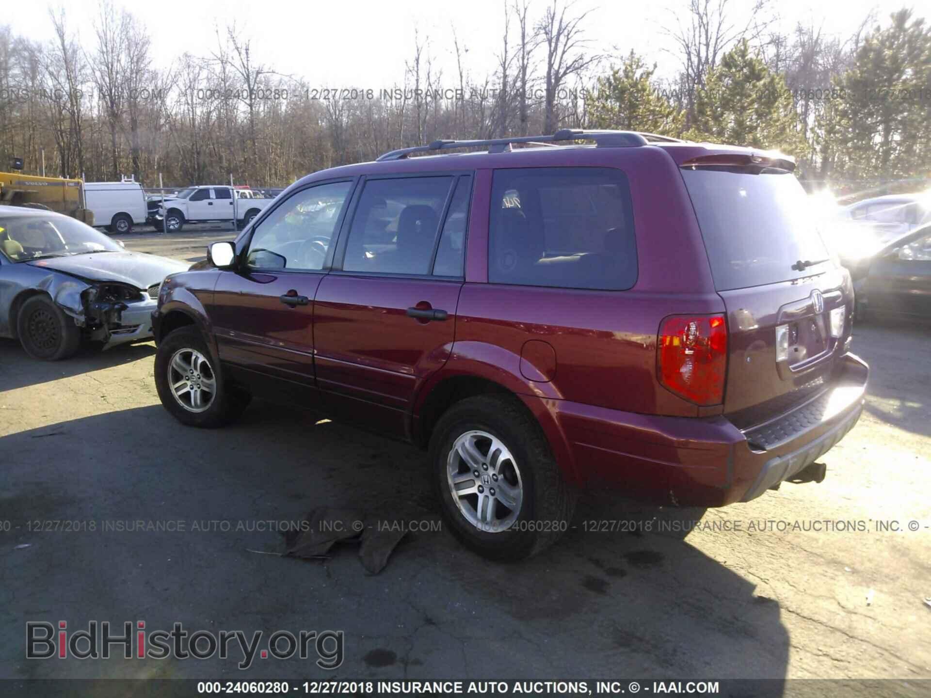 2005 HONDA PILOT - VIN: 5FNYF18435B028754 - Фото 3
