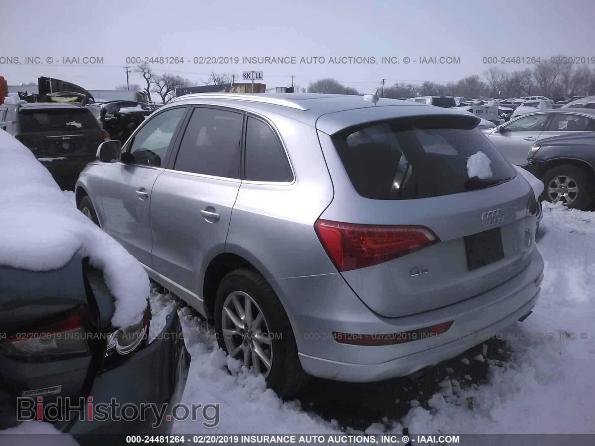 2010 AUDI Q5 - VIN: WA1CKAFPXAA069592 - Фото 3