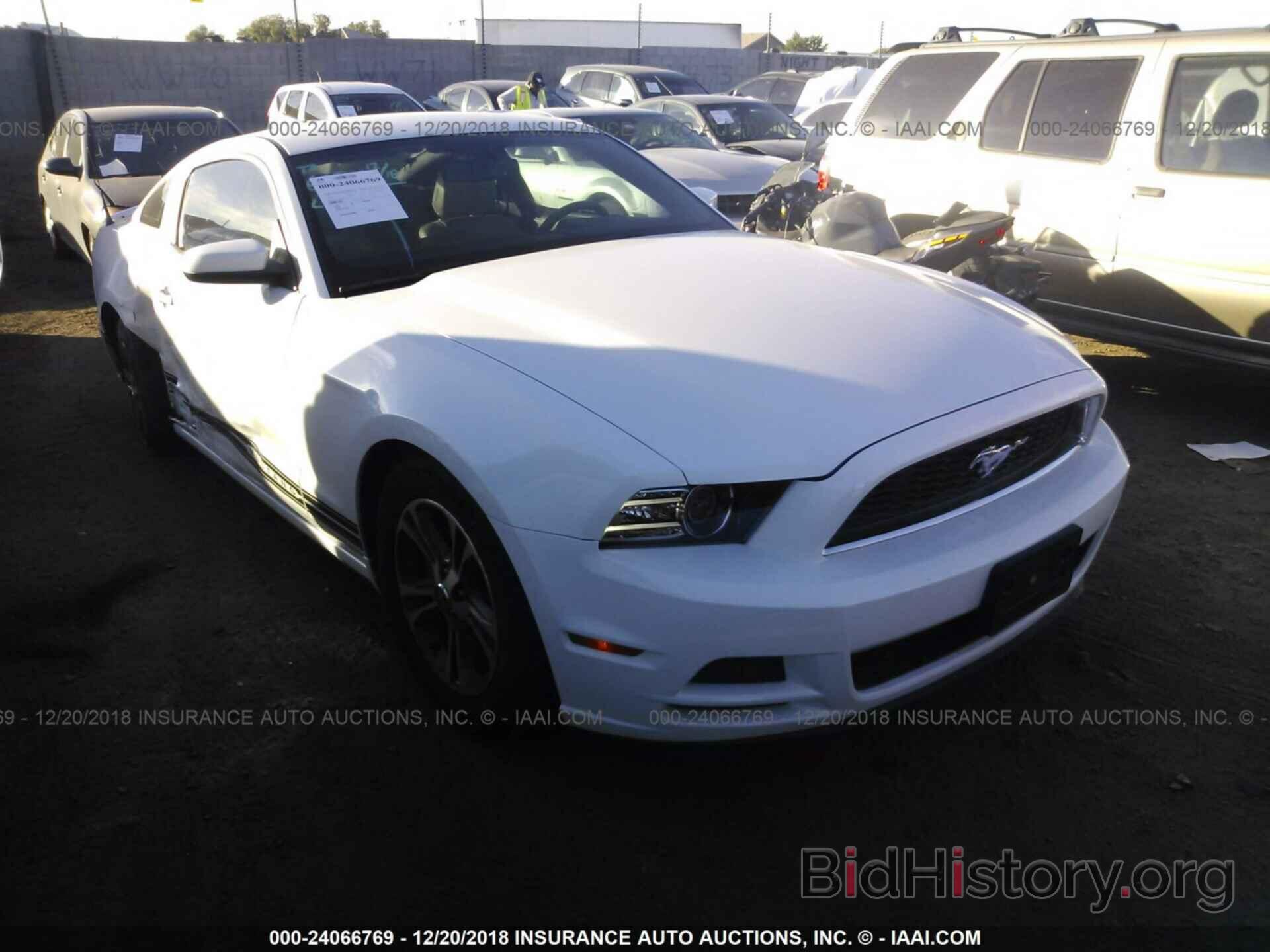 Photo 1ZVBP8AM4E5289654 - FORD MUSTANG 2014