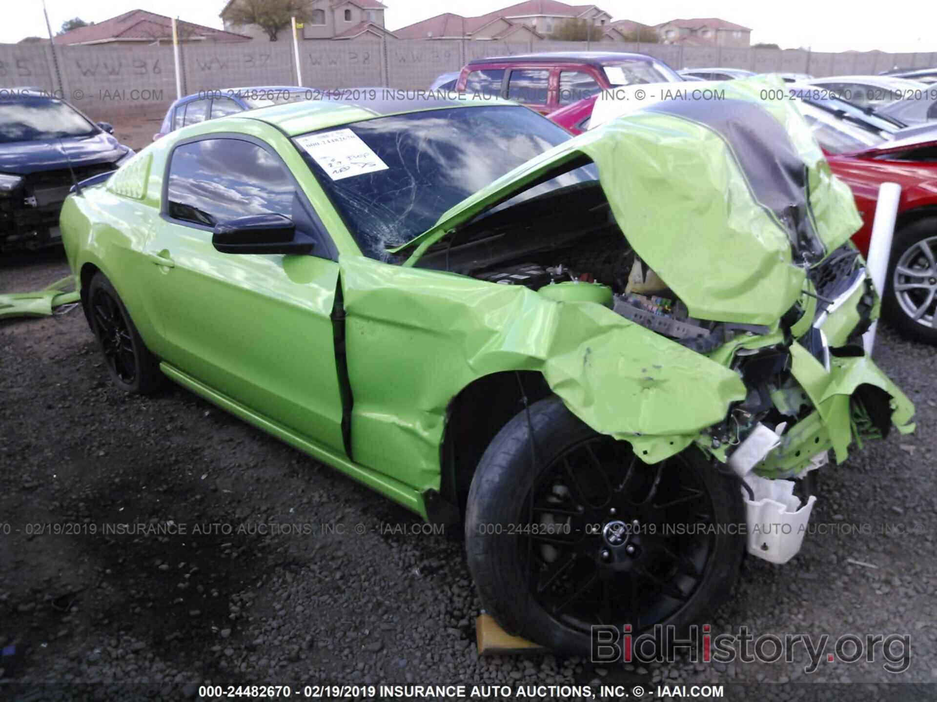 Photo 1ZVBP8AM1E5278255 - FORD MUSTANG 2014