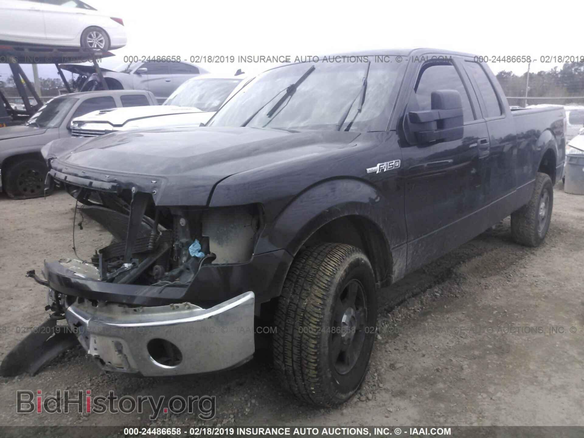 2013 FORD F150 - VIN: 1FTFX1EF1DFA39806 - Фото 2