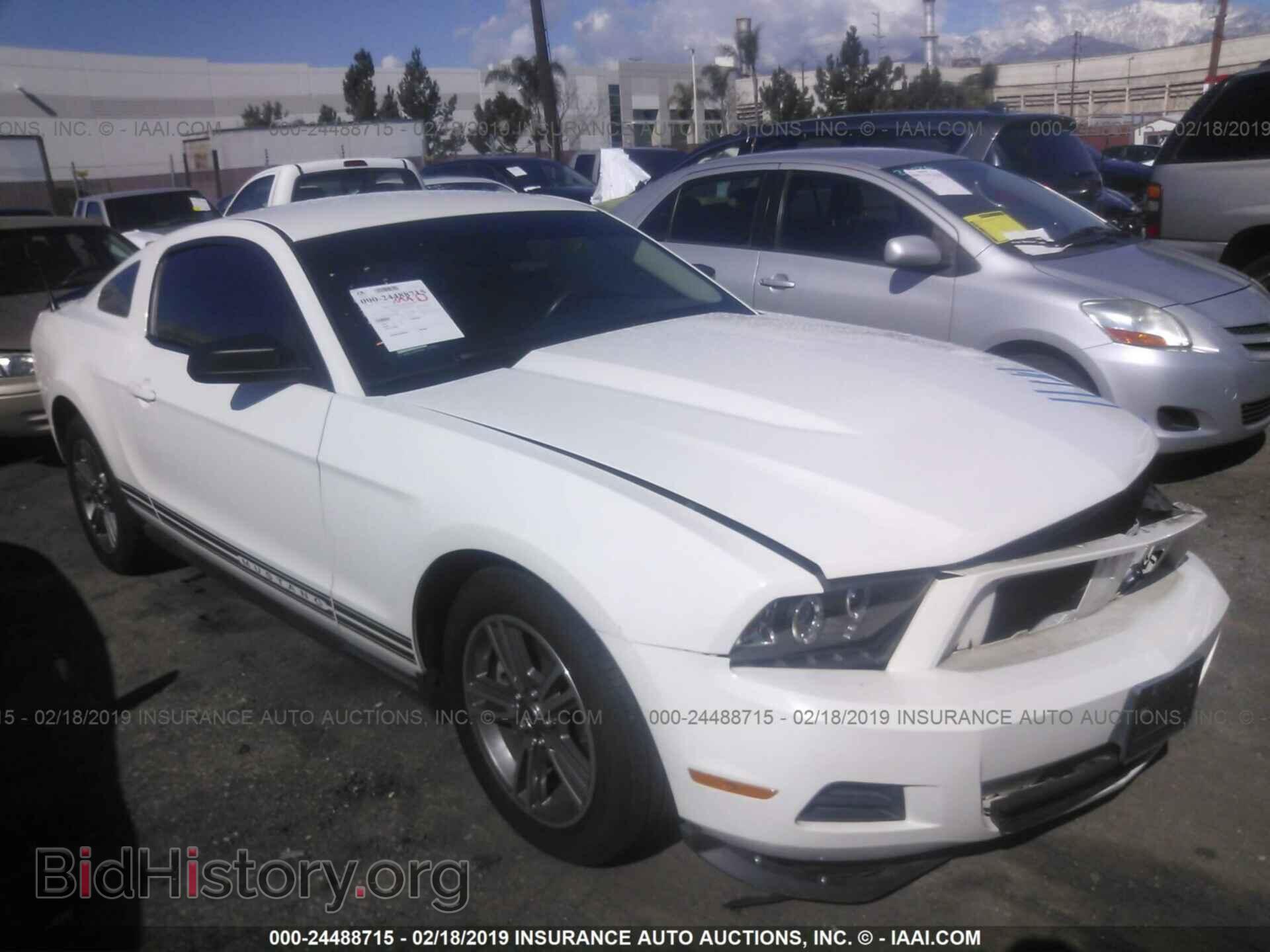 Фотография 1ZVBP8AM6B5120800 - FORD MUSTANG 2011