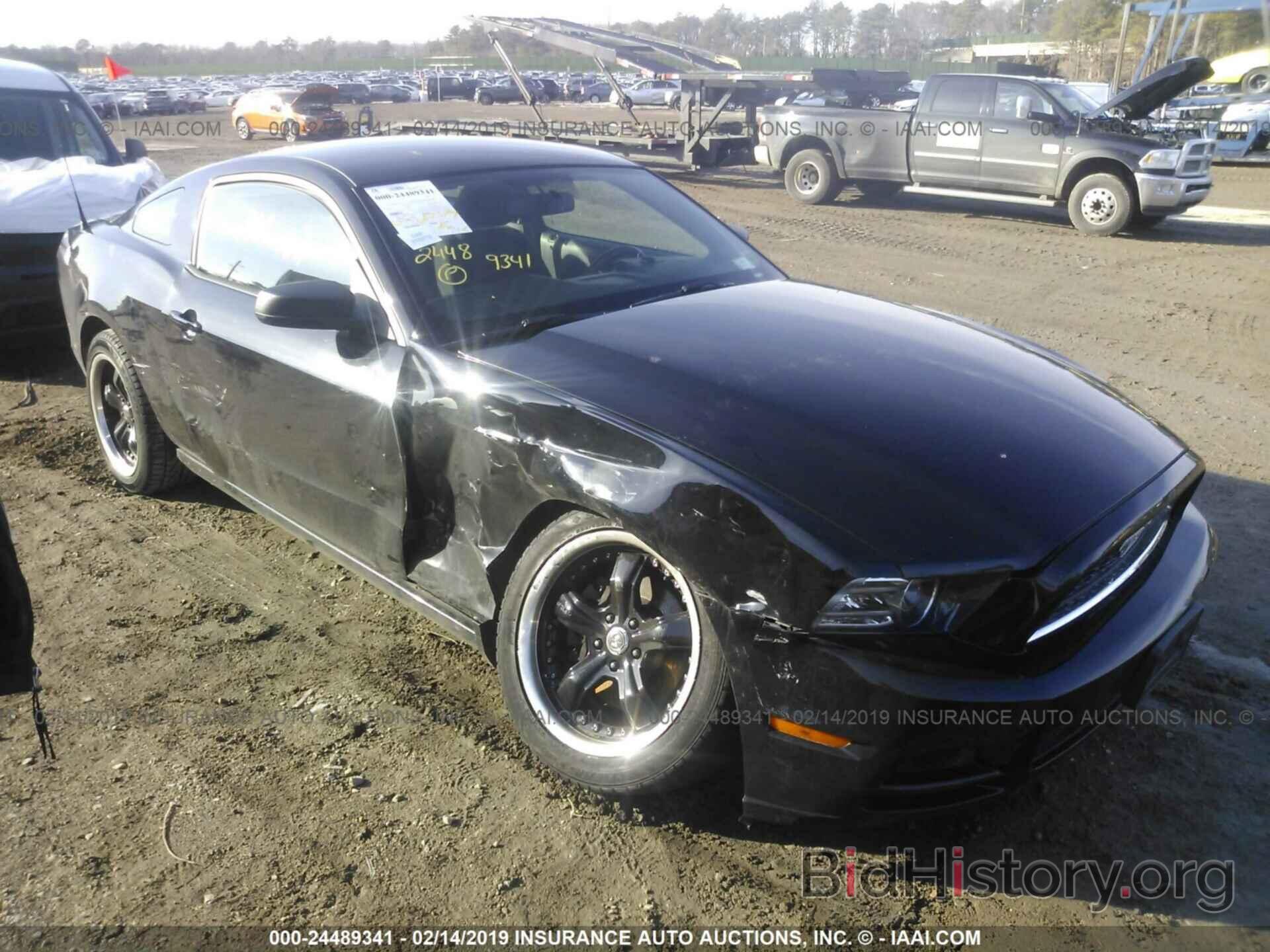 Photo 1ZVBP8AM5D5266088 - FORD MUSTANG 2013