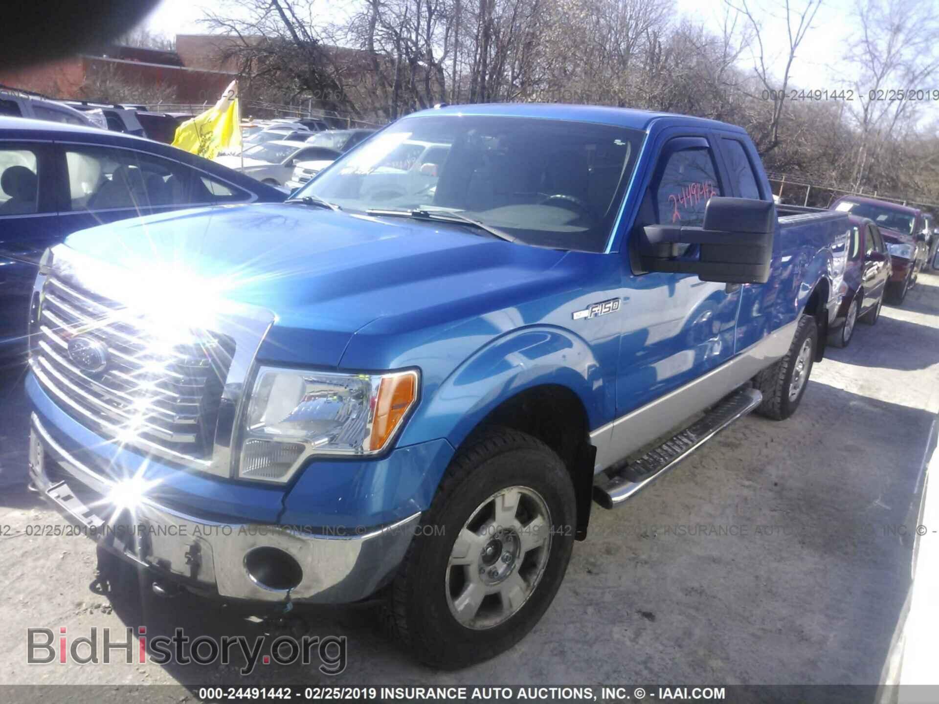 2011 FORD F150 - VIN: 1FTFX1EF1BFD40959 - Фото 2