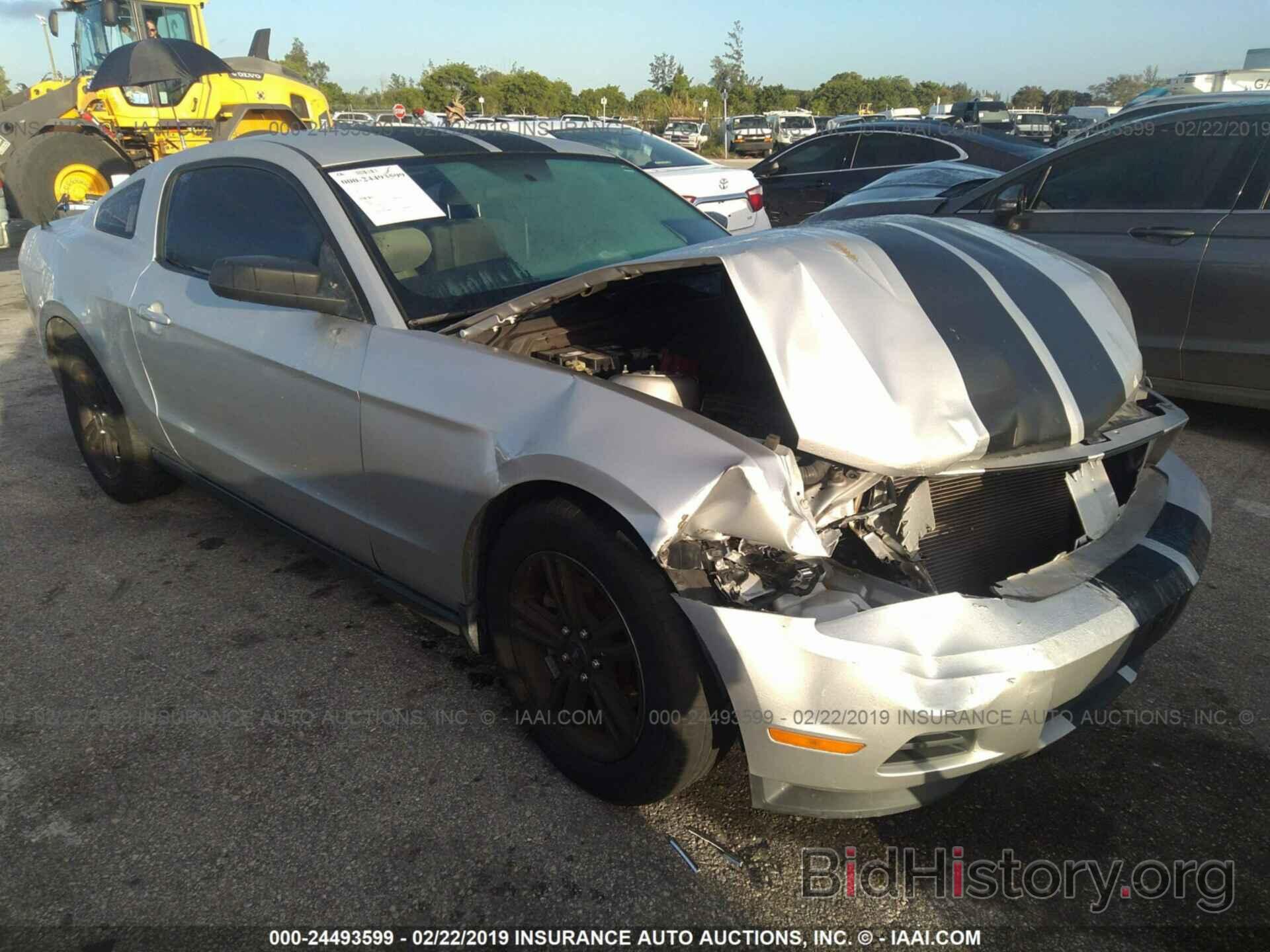 Photo 1ZVBP8AM3C5206955 - FORD MUSTANG 2012