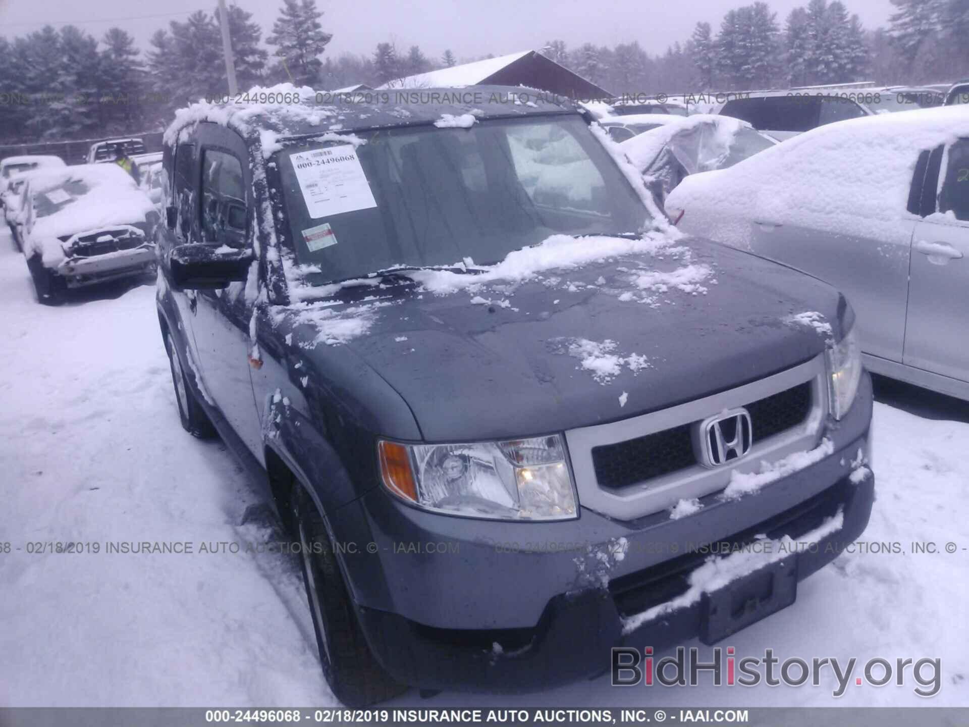 Photo 5J6YH2H78AL004400 - HONDA ELEMENT 2010