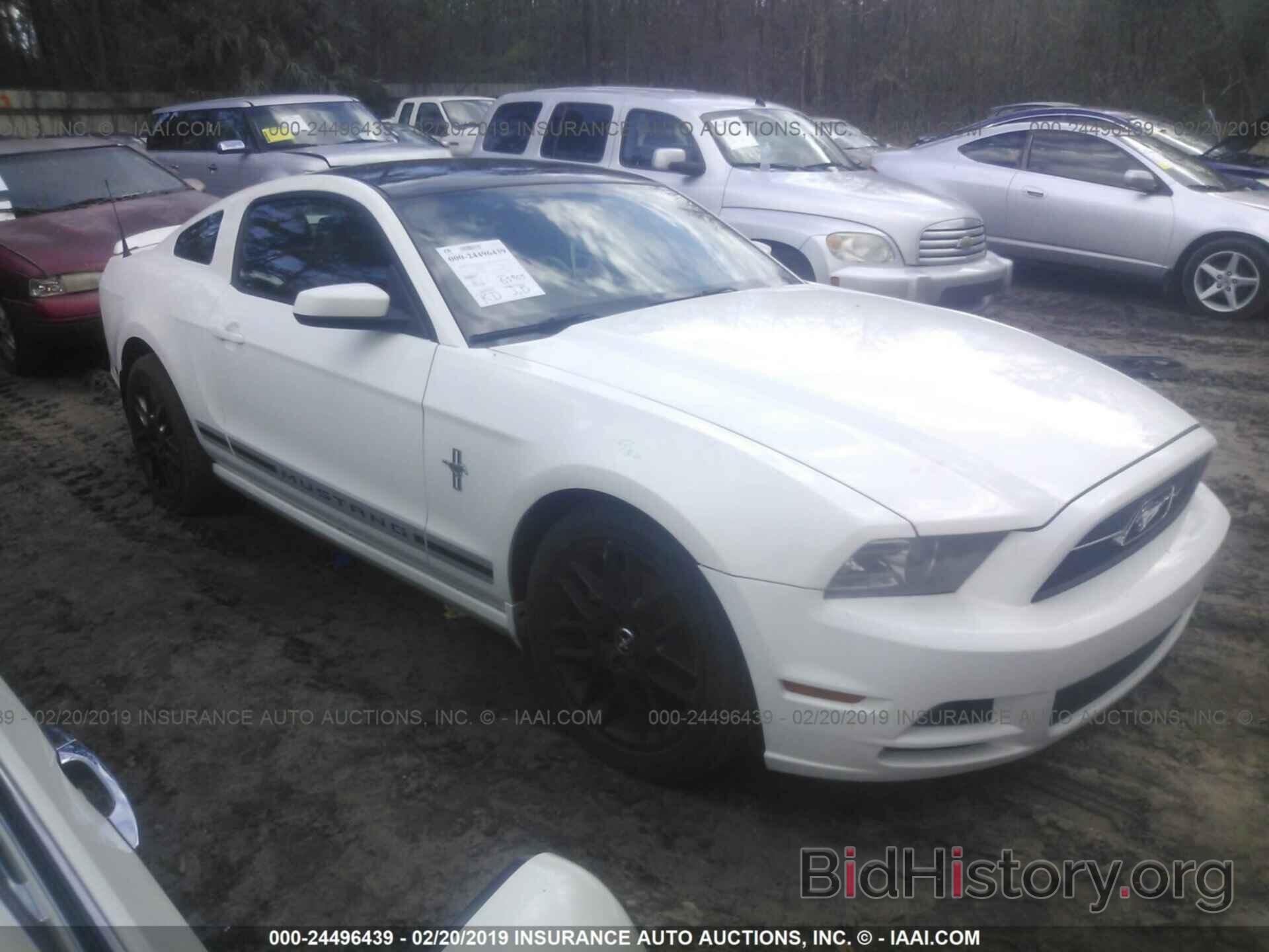 Photo 1ZVBP8AMXD5268502 - FORD MUSTANG 2013