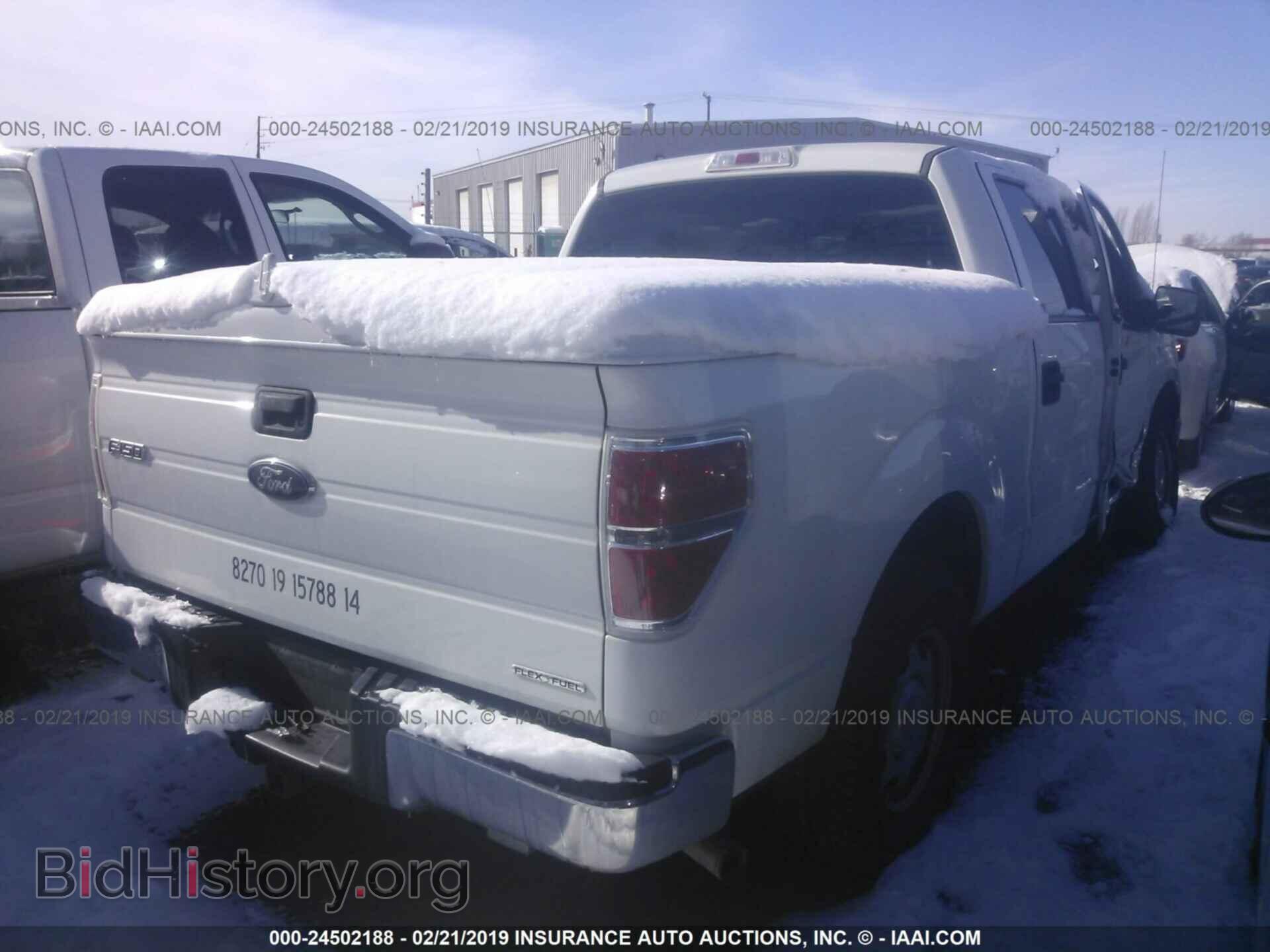 2013 FORD F150 - VIN: 1FTFW1CF4DKE77815 - Фото 4