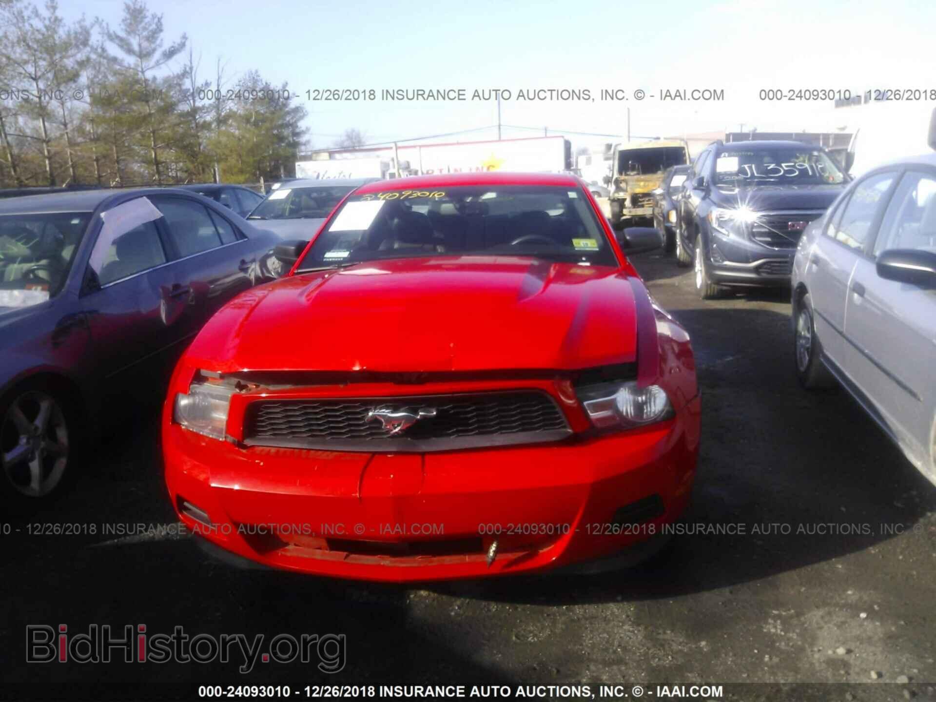2011 FORD MUSTANG - VIN: 1ZVBP8AM6B5117475 - Фото 6