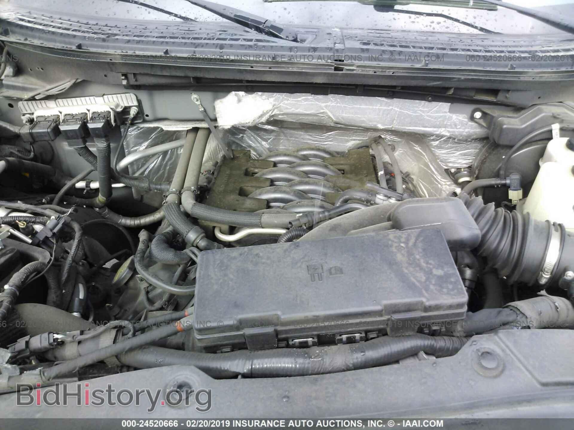 2011 FORD F150 - VIN: 1FTFW1EF5BFA46502 - Фото 10