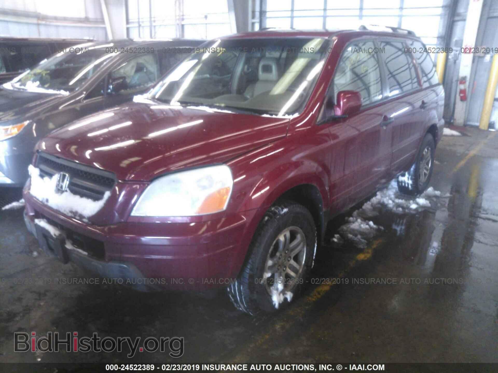 2005 HONDA PILOT - VIN: 5FNYF18575B007561 - Фото 2