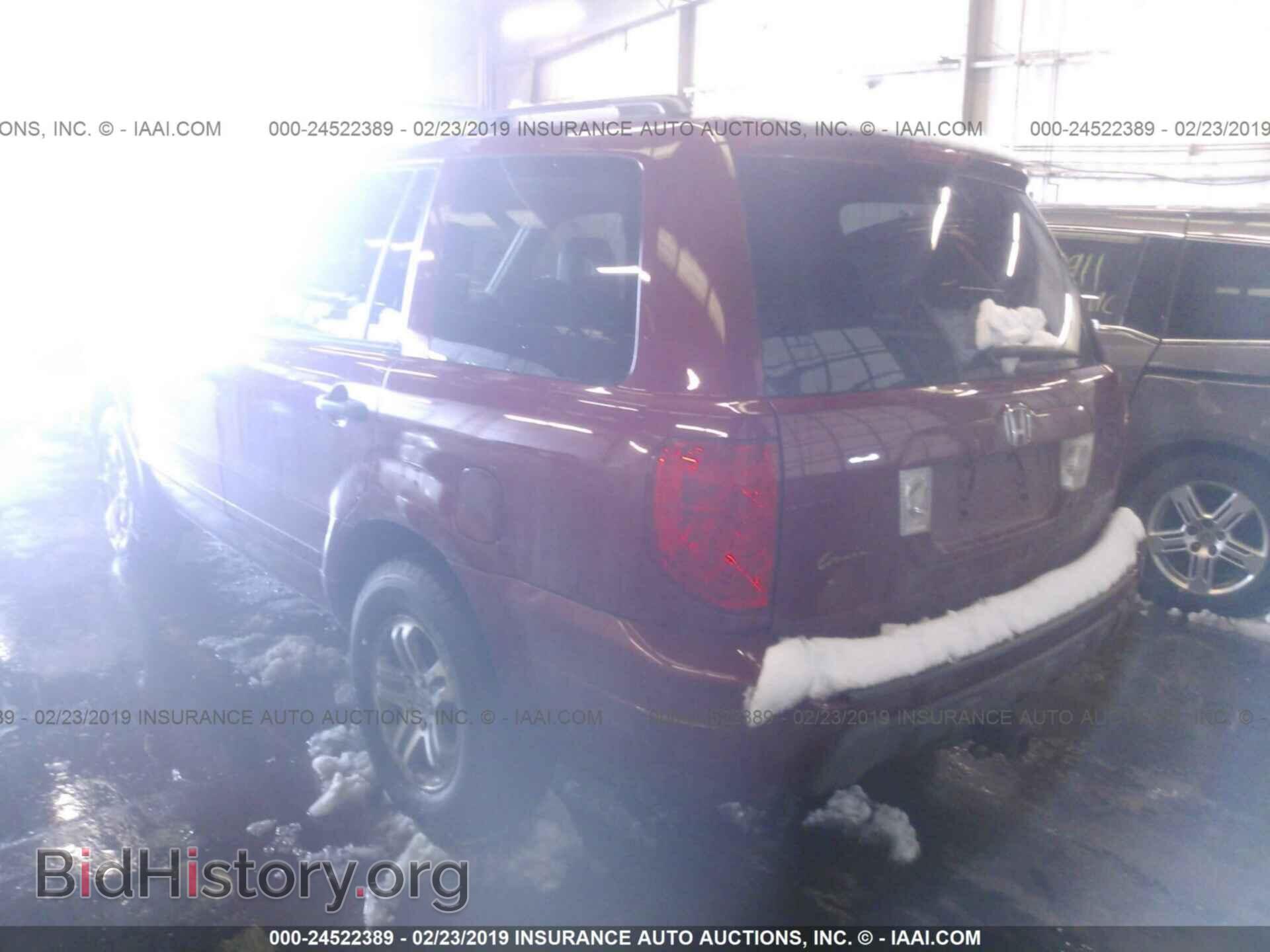 2005 HONDA PILOT - VIN: 5FNYF18575B007561 - Фото 3