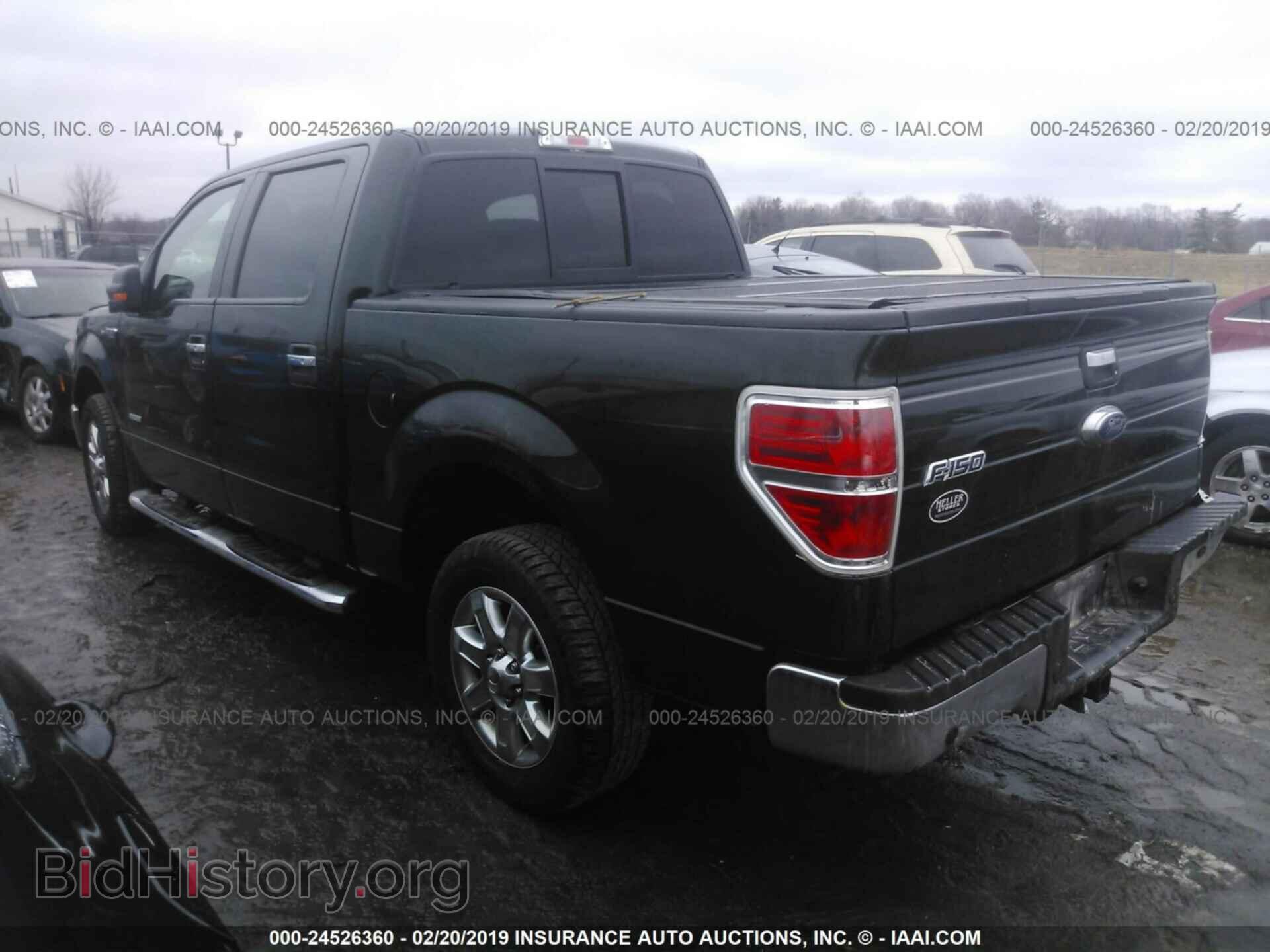 2013 FORD F150 - VIN: 1FTFW1CT8DFD32534 - Фото 3