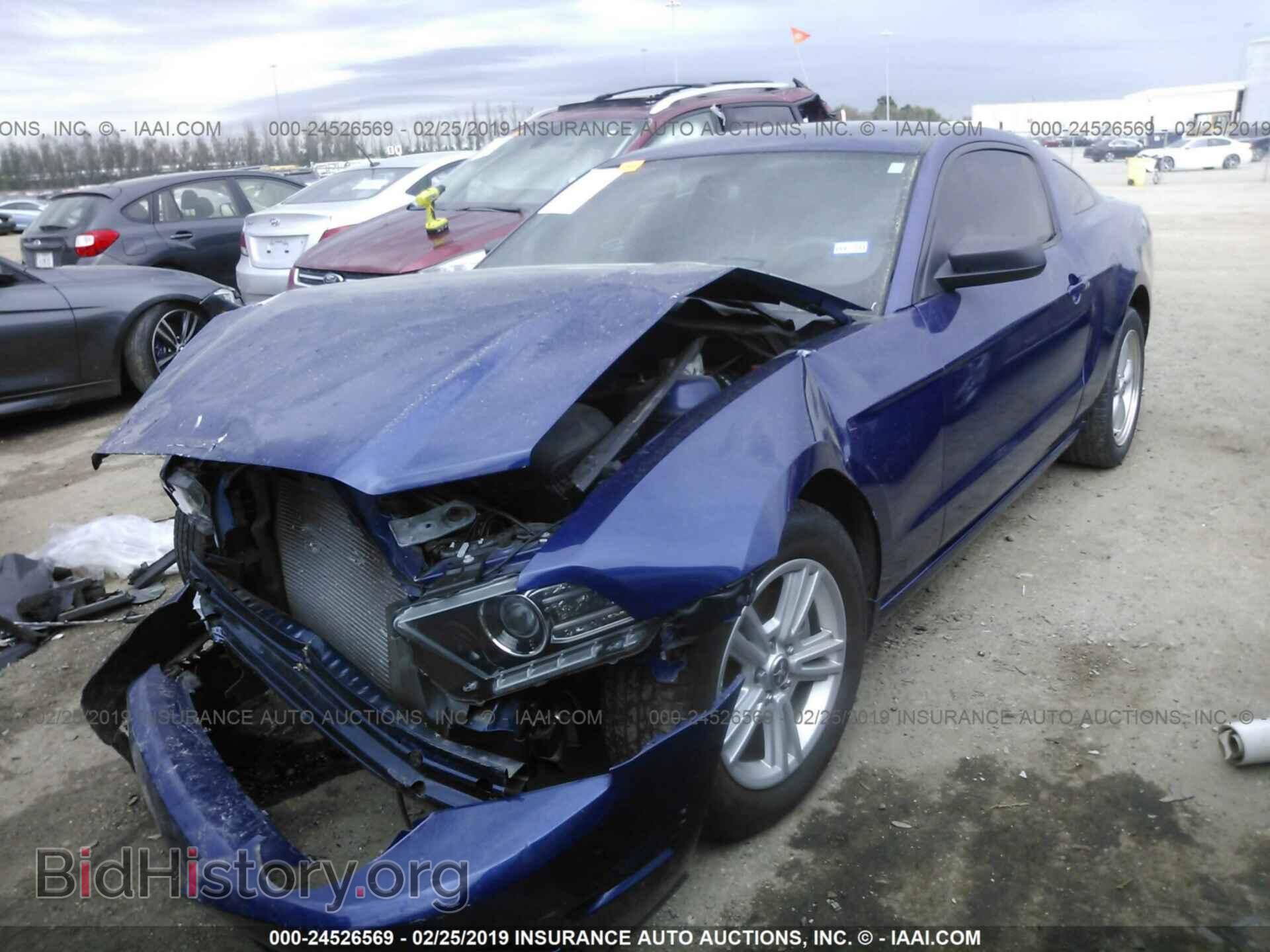 2014 FORD MUSTANG - VIN: 1ZVBP8AM2E5309402 - Фото 2