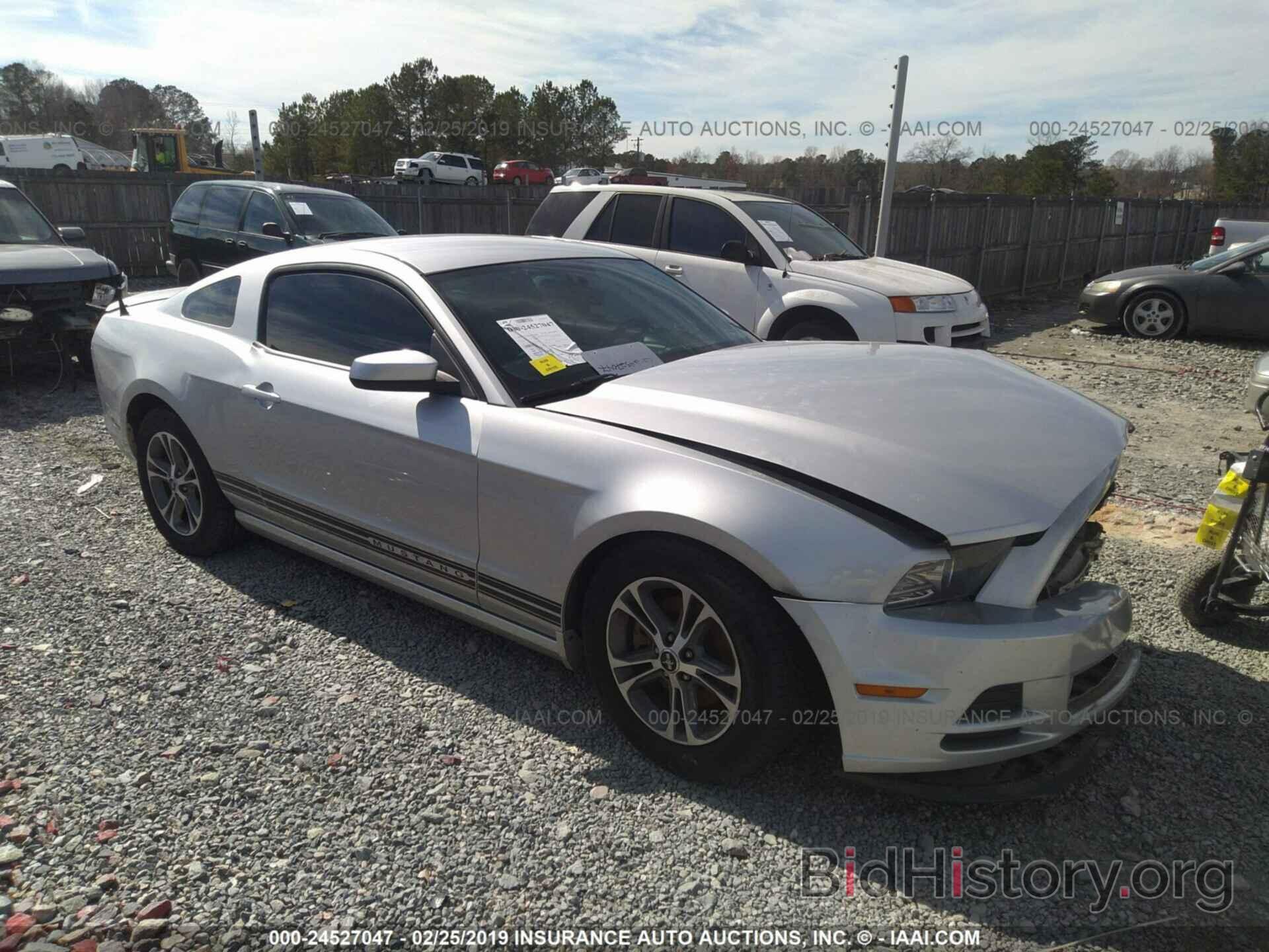 Photo 1ZVBP8AM7E5210736 - FORD MUSTANG 2014