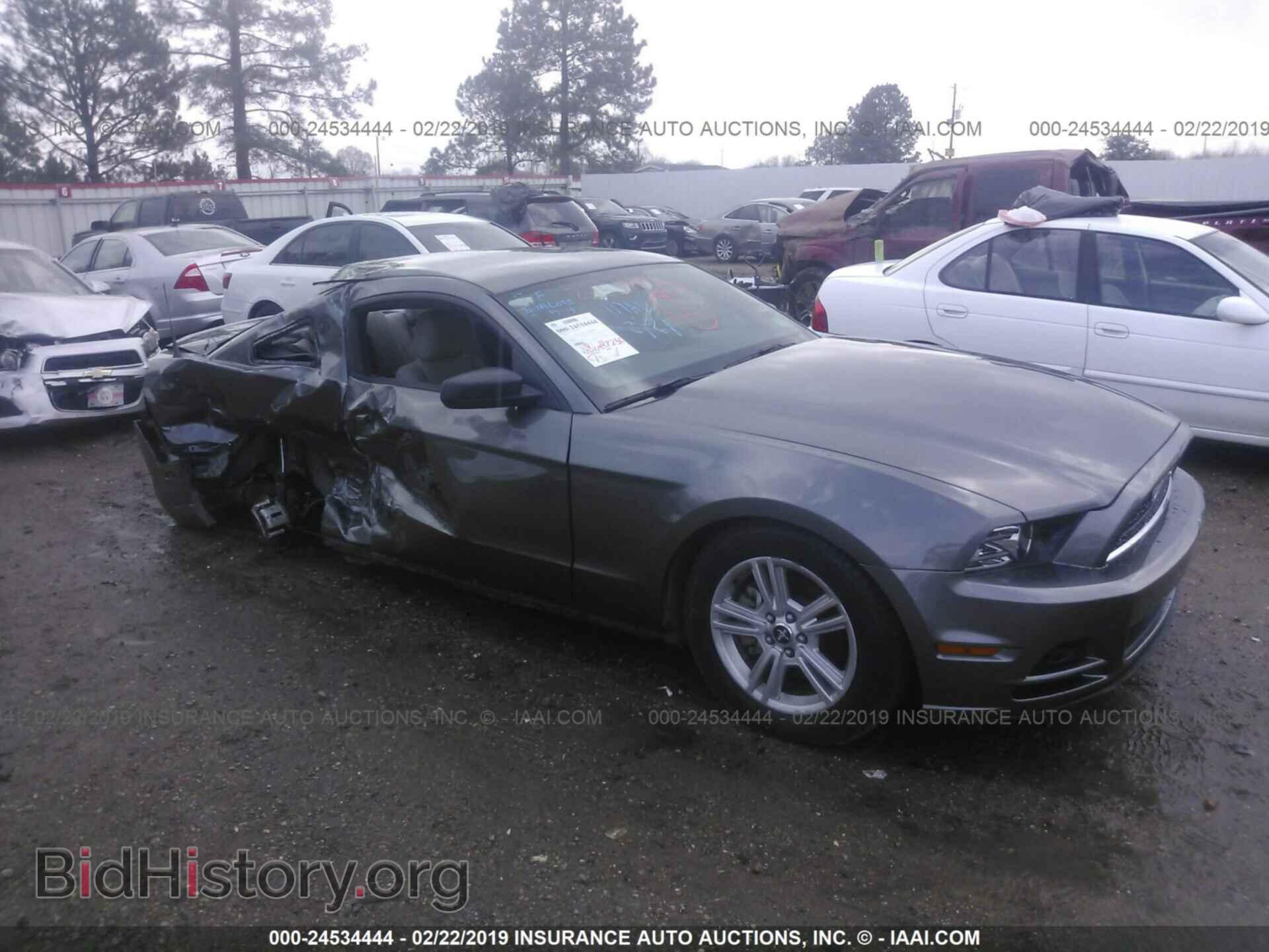 Photo 1ZVBP8AM8E5334336 - FORD MUSTANG 2014