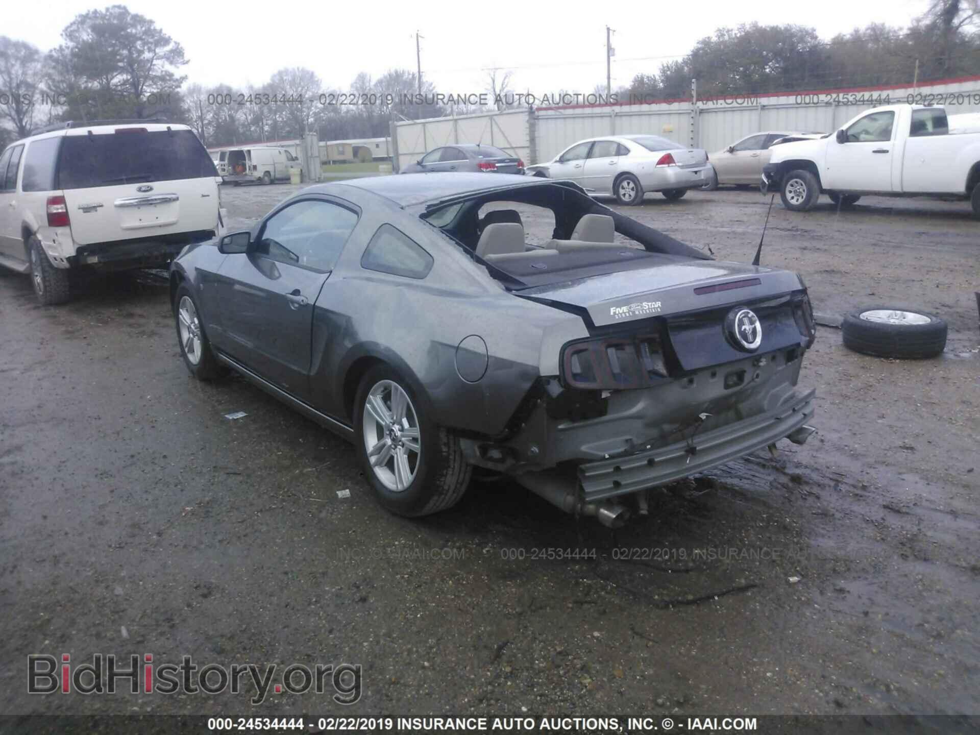 2014 FORD MUSTANG - VIN: 1ZVBP8AM8E5334336 - Фото 3