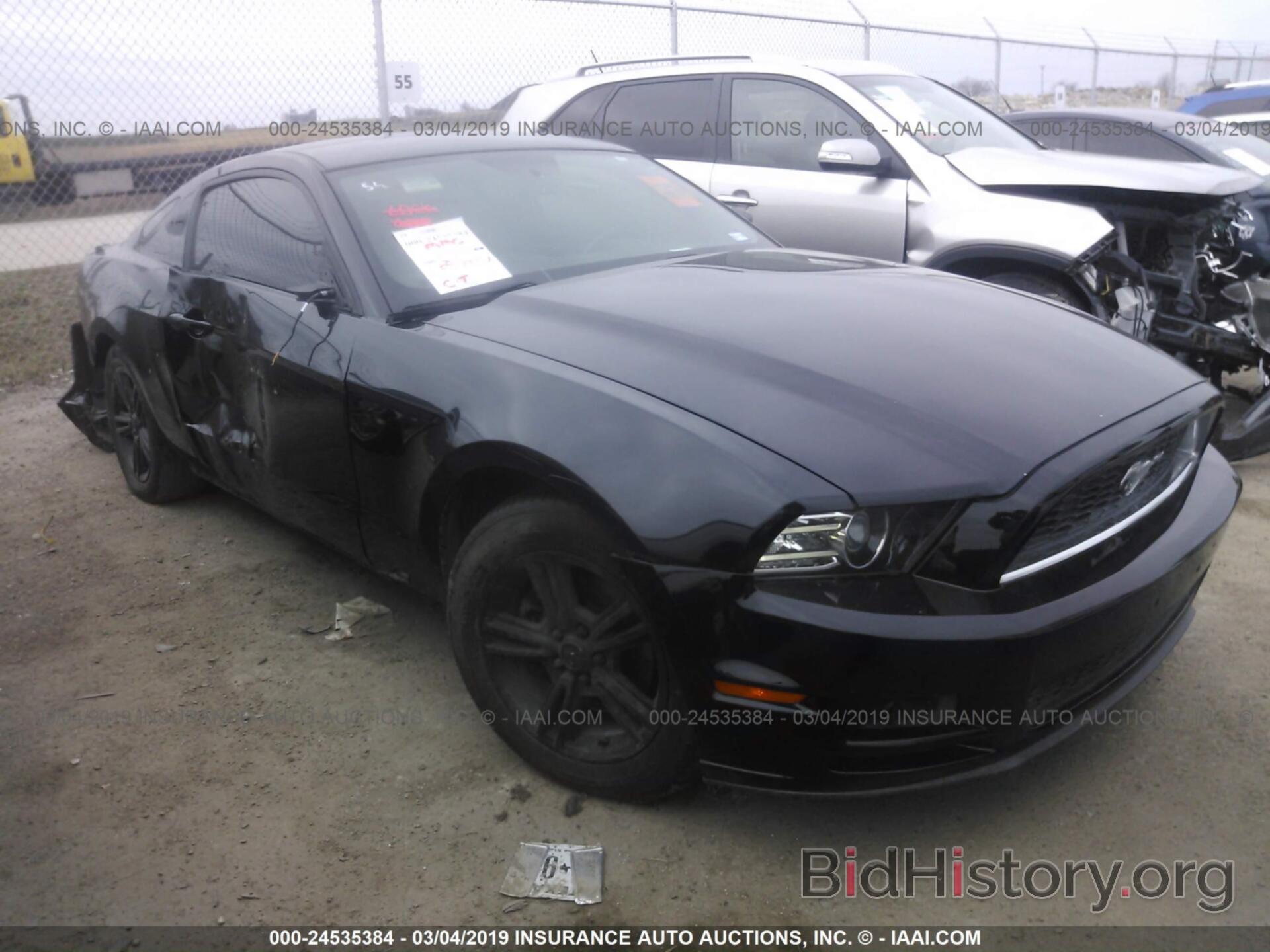 Photo 1ZVBP8AM7D5257053 - FORD MUSTANG 2013