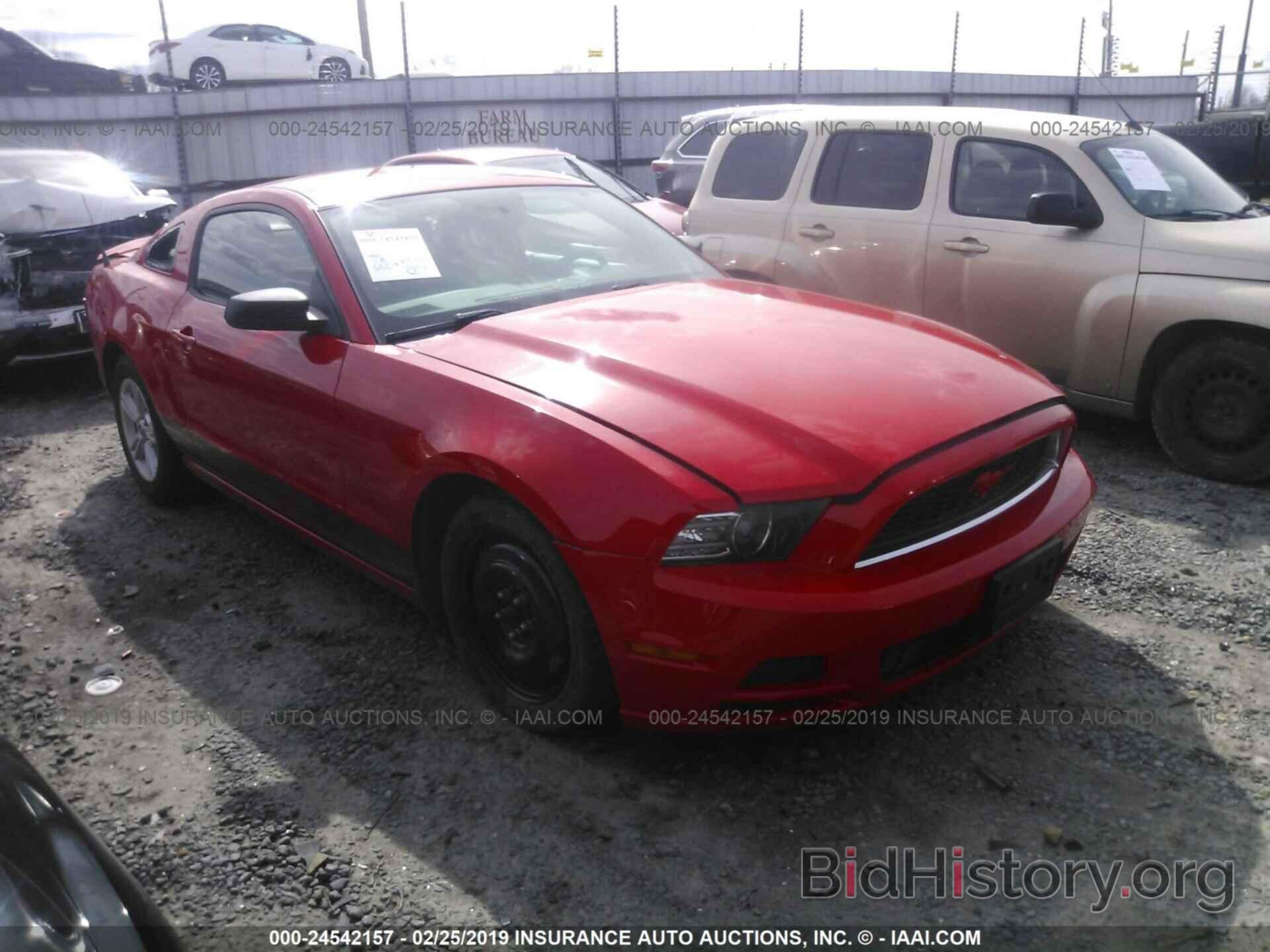 Photo 1ZVBP8AM3D5266994 - FORD MUSTANG 2013
