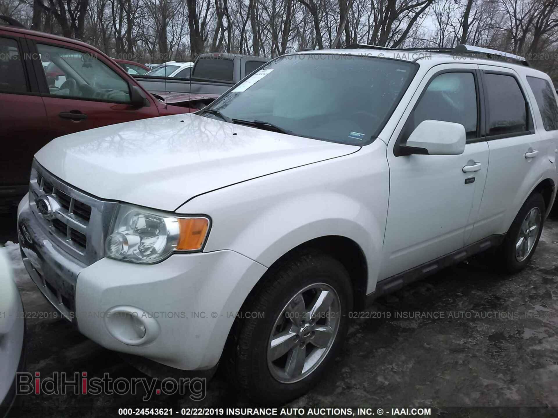 2011 FORD ESCAPE - VIN: 1FMCU9EG4BKA06107 - Фото 2