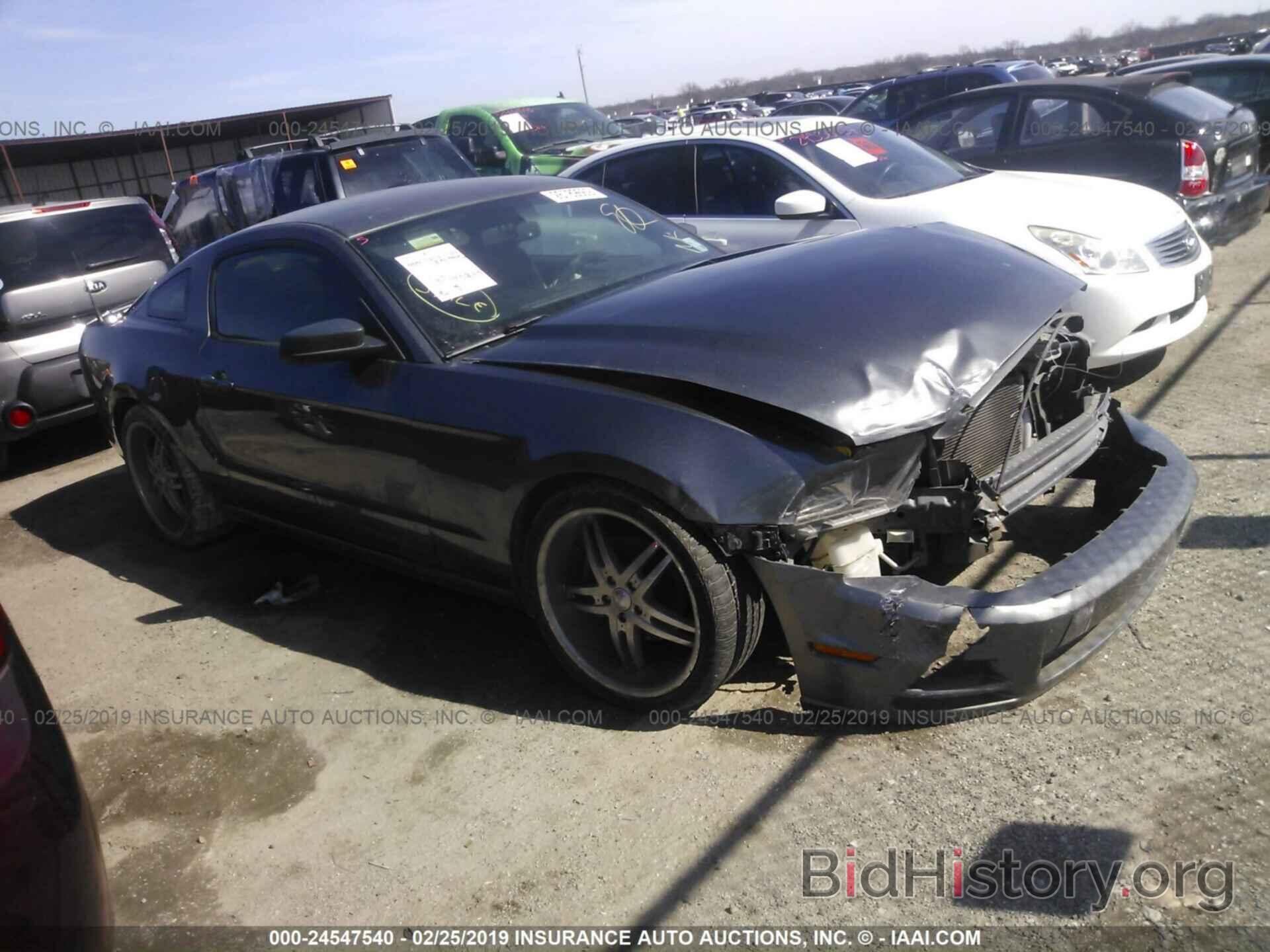 Photo 1ZVBP8AM8E5216576 - FORD MUSTANG 2014