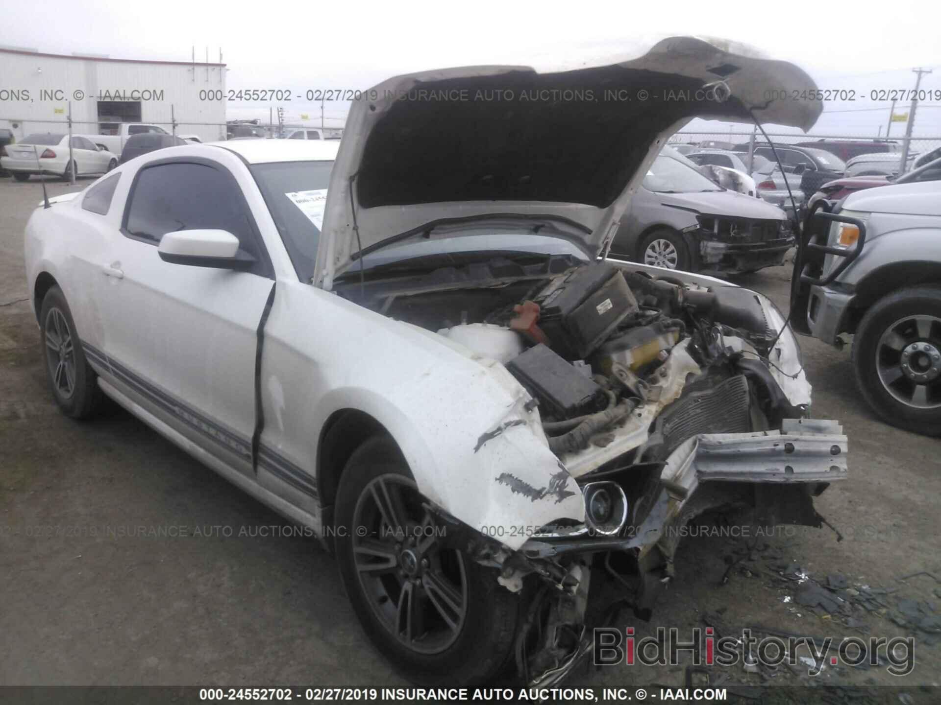 Photo 1ZVBP8AMXD5217355 - FORD MUSTANG 2013
