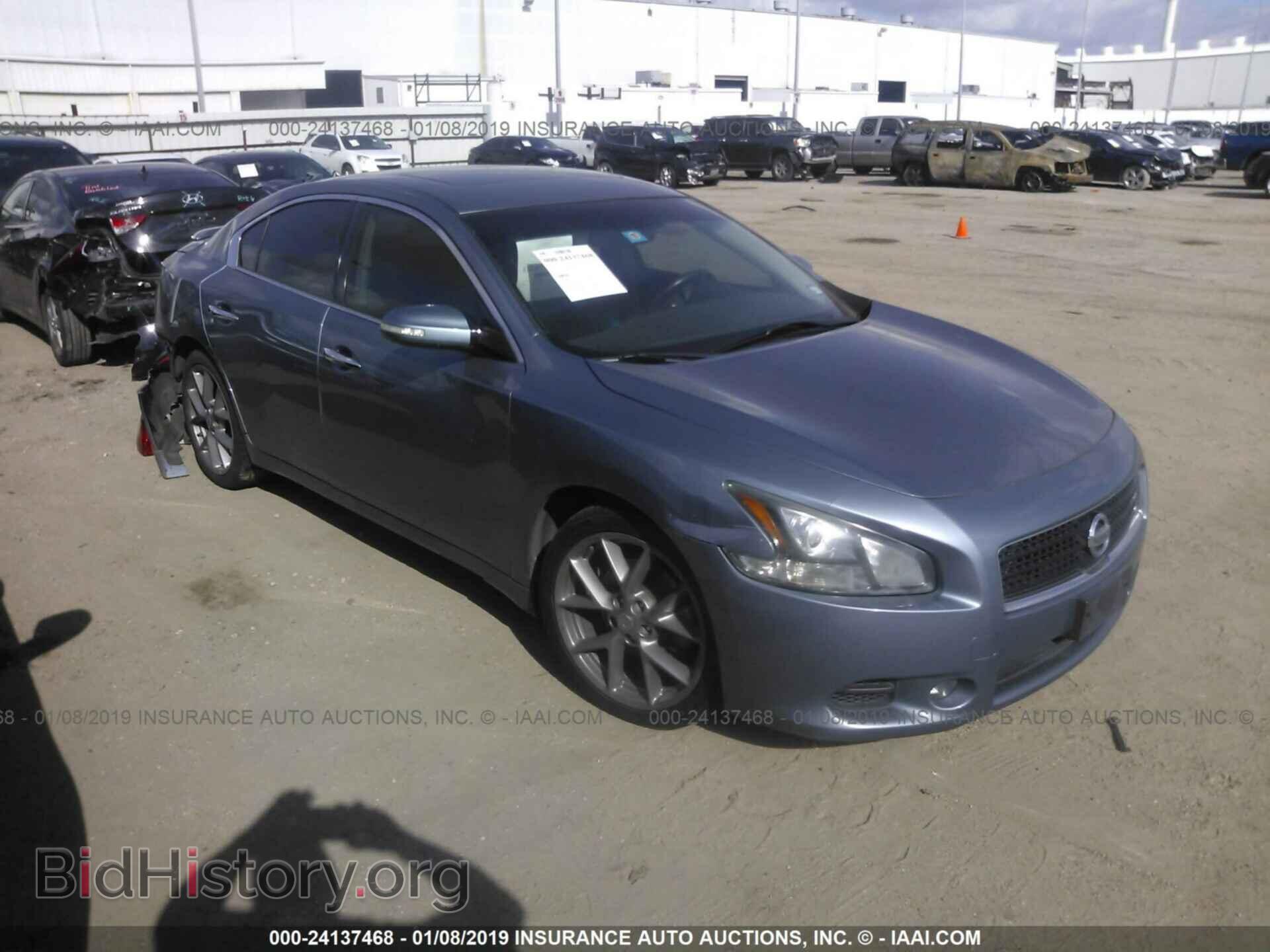 Photo 1N4AA5AP5BC846366 - NISSAN MAXIMA 2011