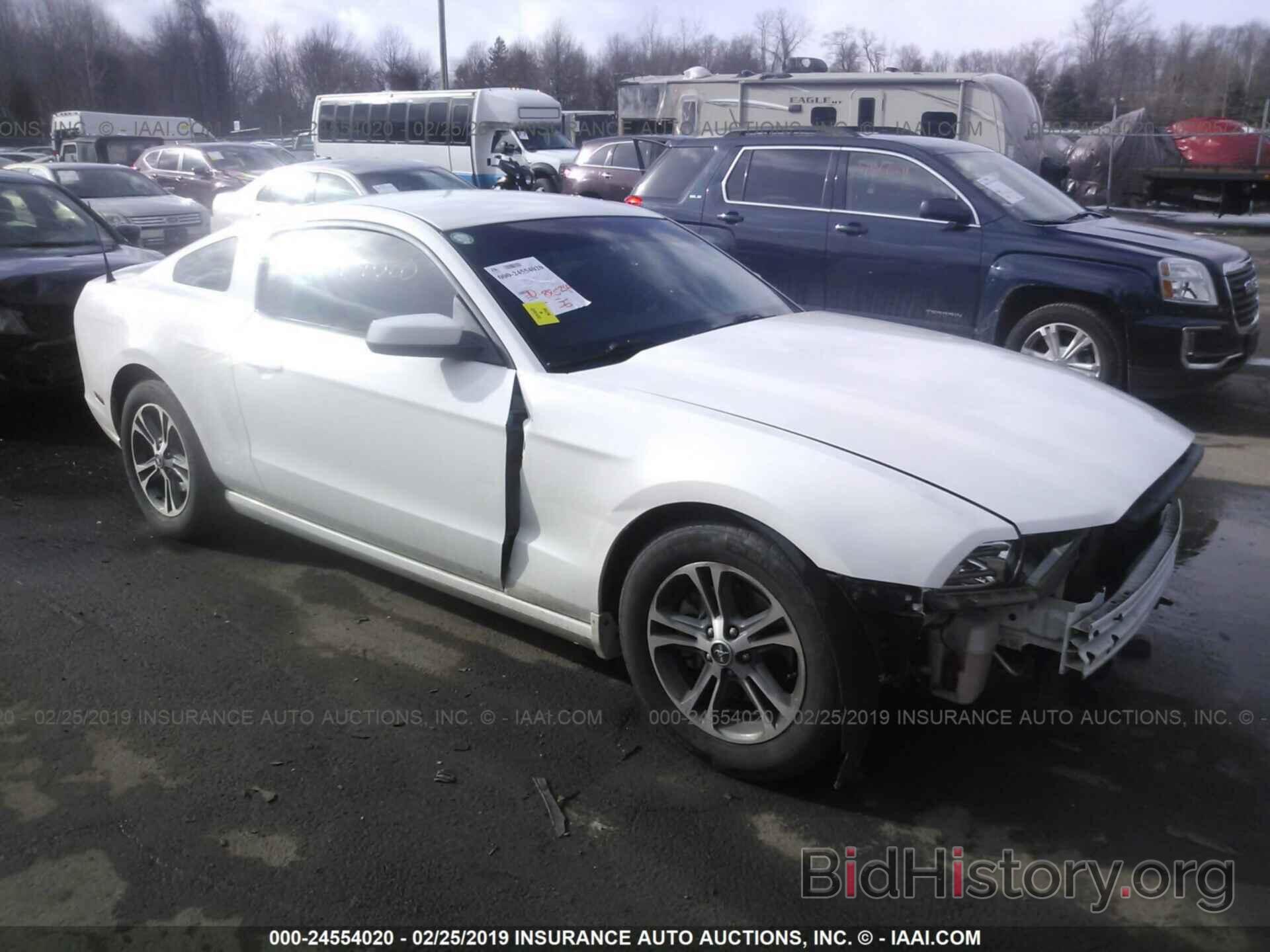 Photo 1ZVBP8AM4D5250111 - FORD MUSTANG 2013